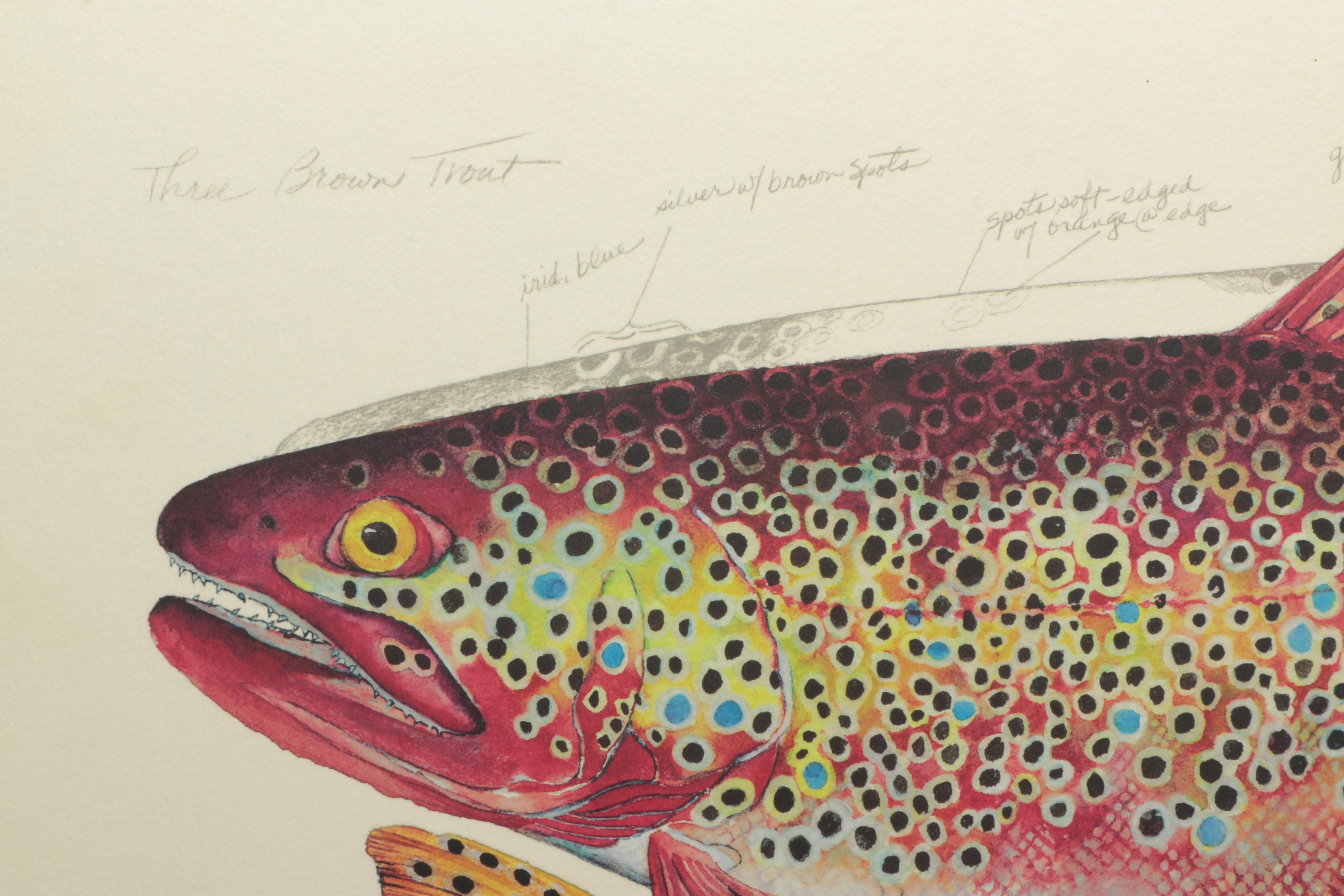 Offset Lithograph on Board After Eileen Klatt "Three Brown Trout"