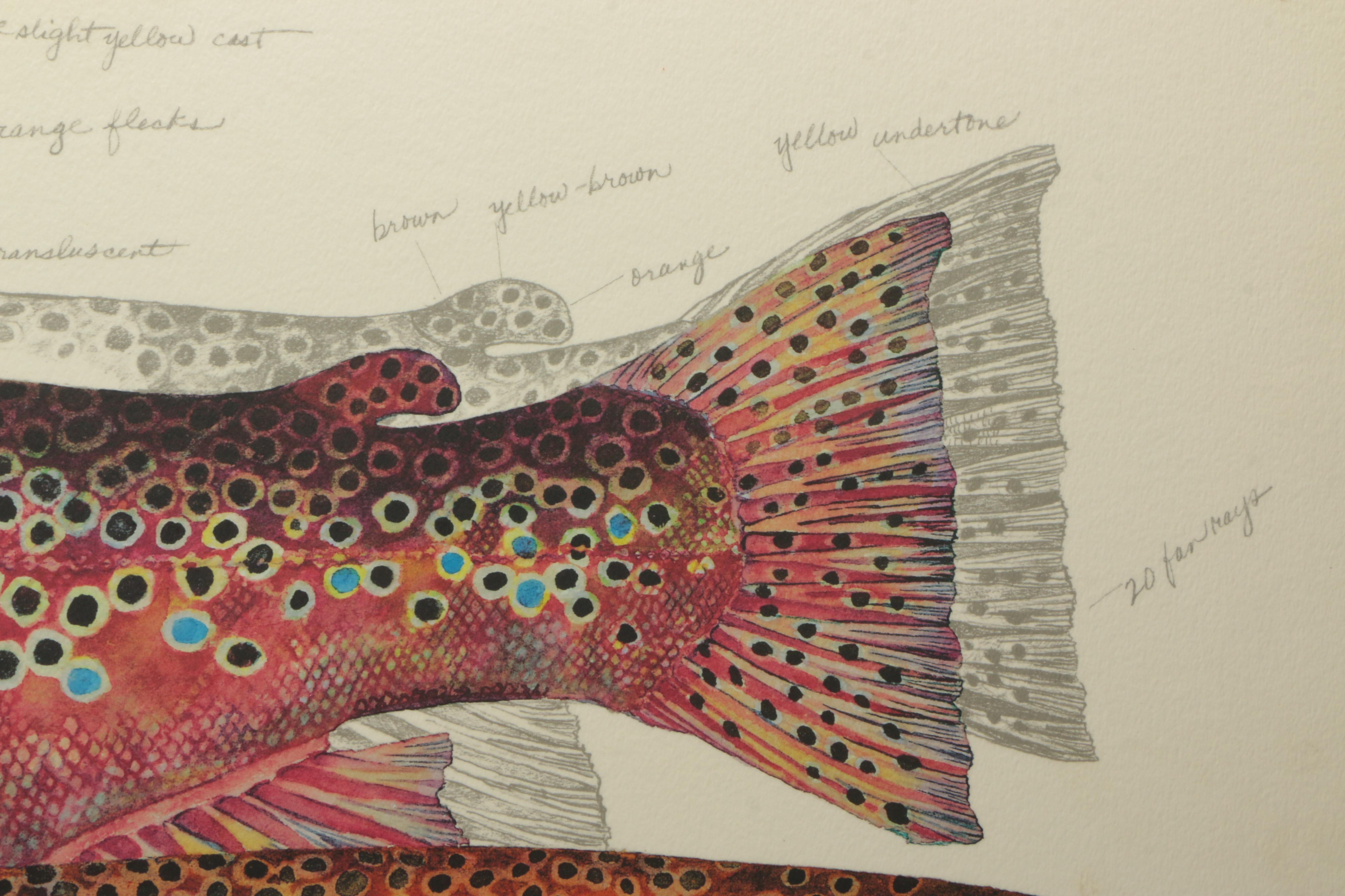Offset Lithograph on Board After Eileen Klatt "Three Brown Trout"