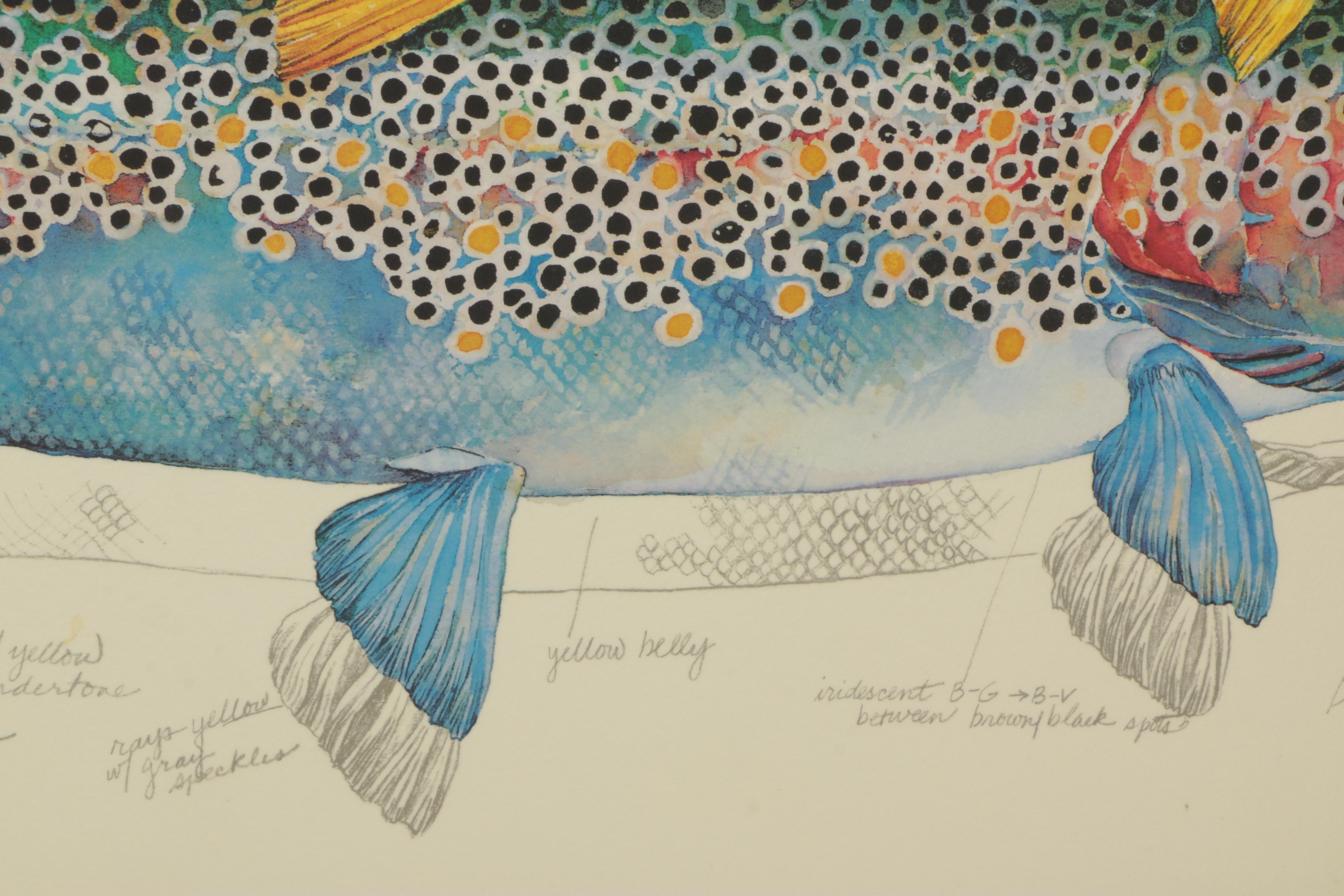 Offset Lithograph on Board After Eileen Klatt "Three Brown Trout"