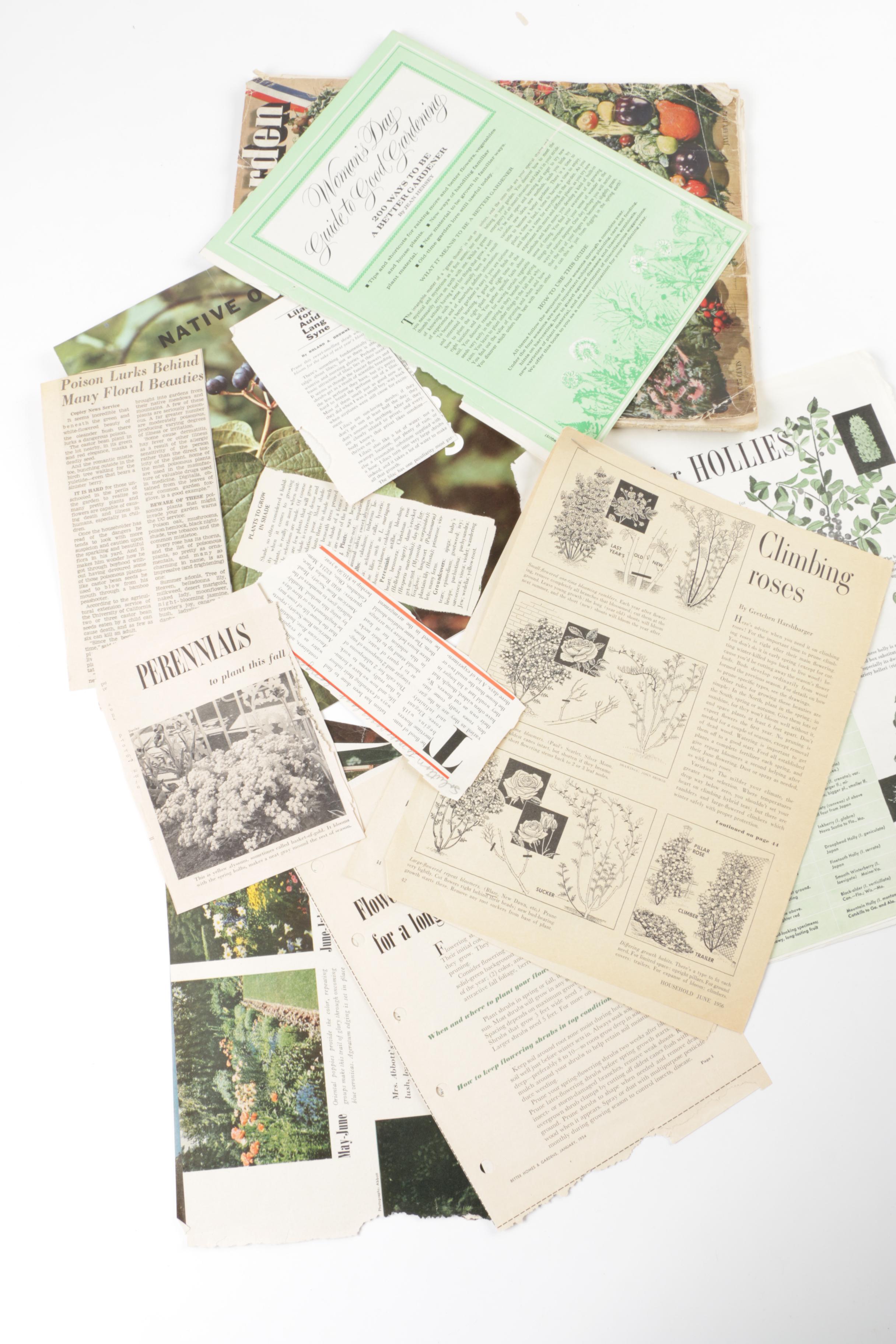 Assortment of Magazines Featuring John F. Kennedy