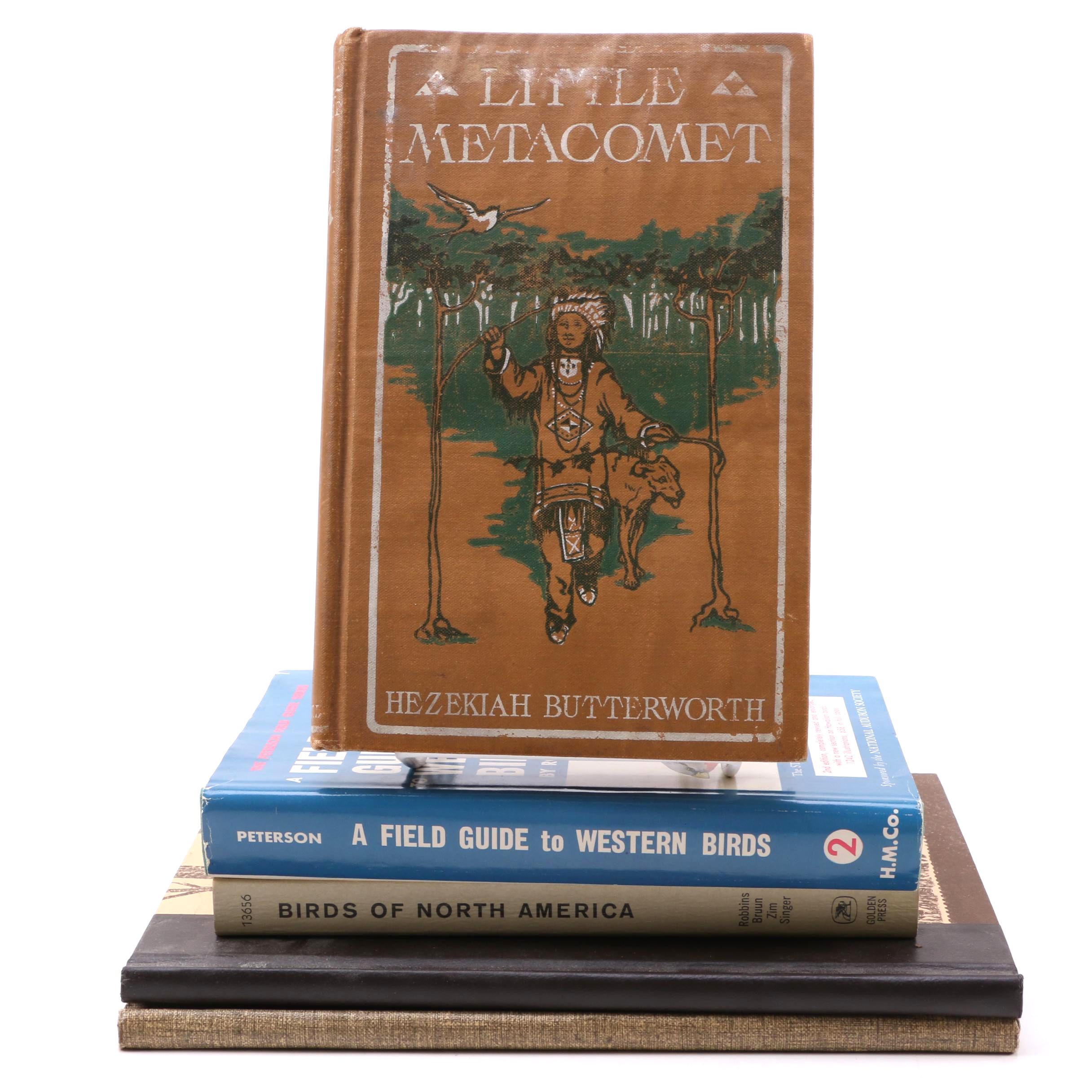 Assorted Fiction and Non-Fiction Books Including Bird Watching Guides