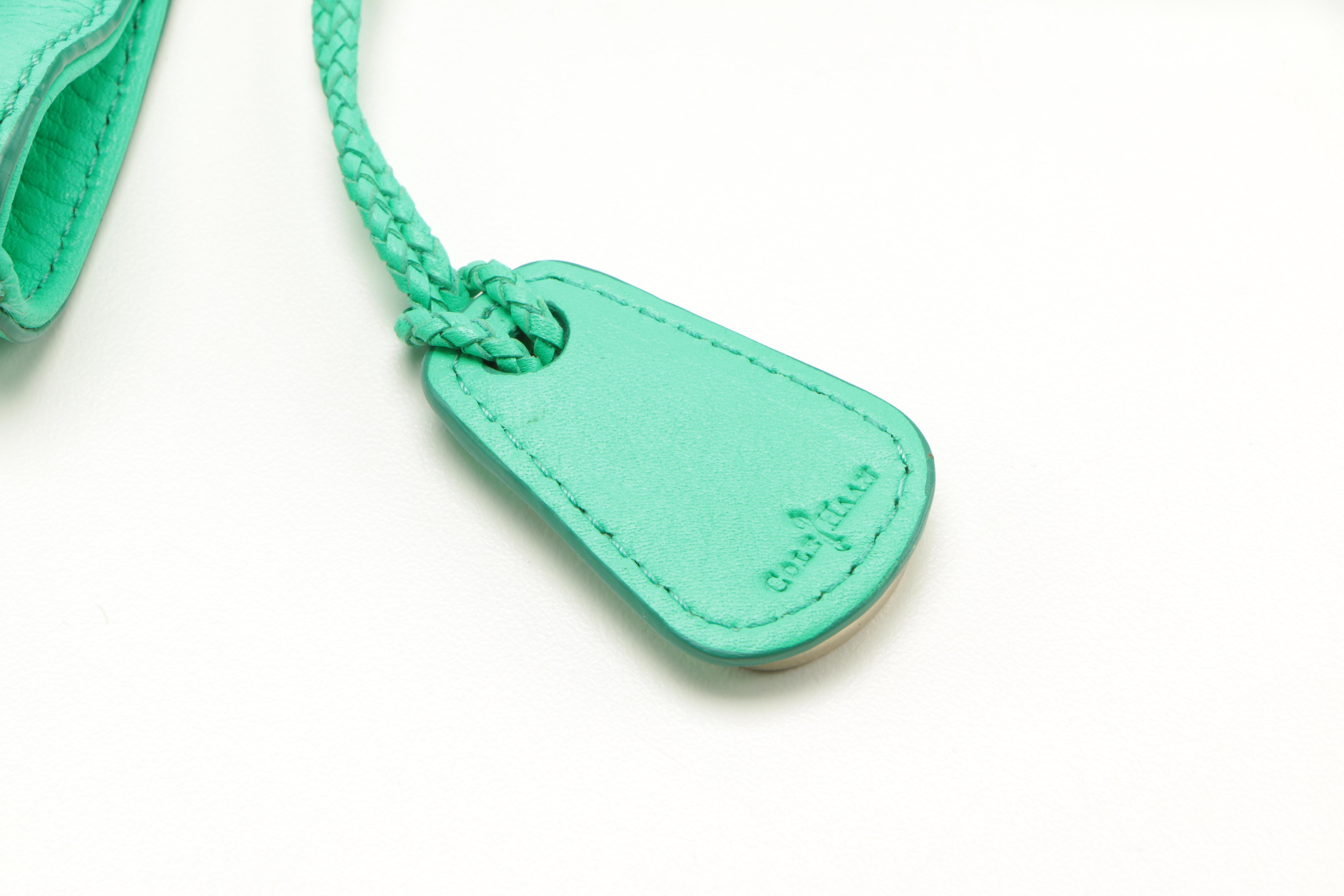 Cole Haan Serena Mint Leather Tote