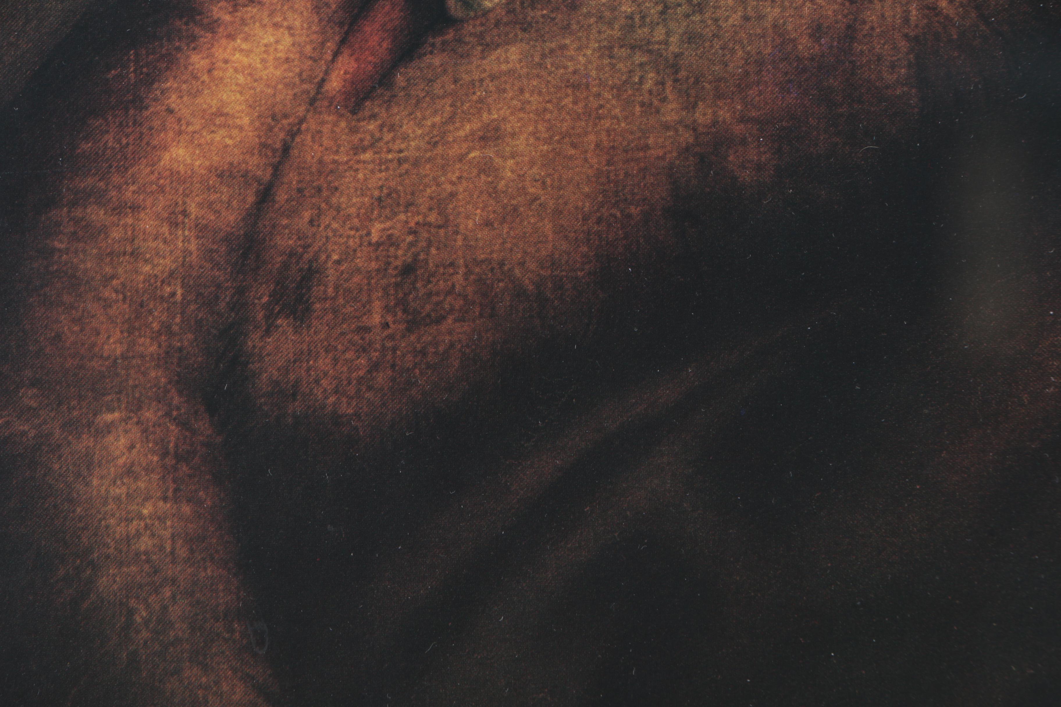 Offset Lithograph After Rembrandt Peale's Portrait of Thomas Jefferson