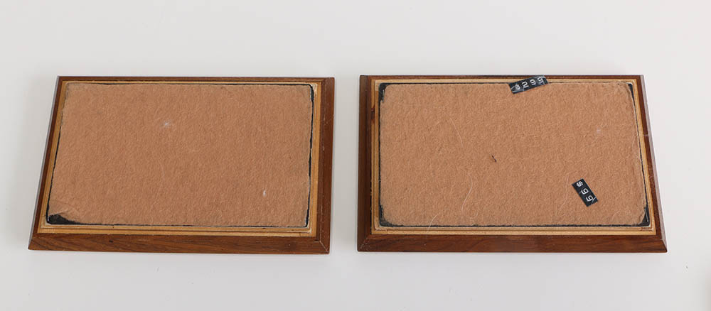 Velveteen Lined Display Trays