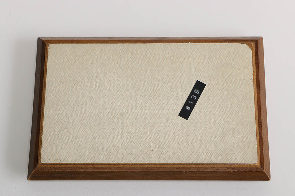 Velveteen Lined Display Trays