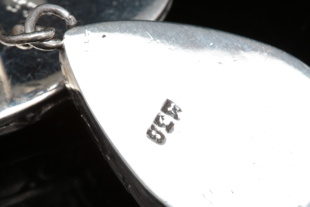 Sterling Silver Dangle Earrings