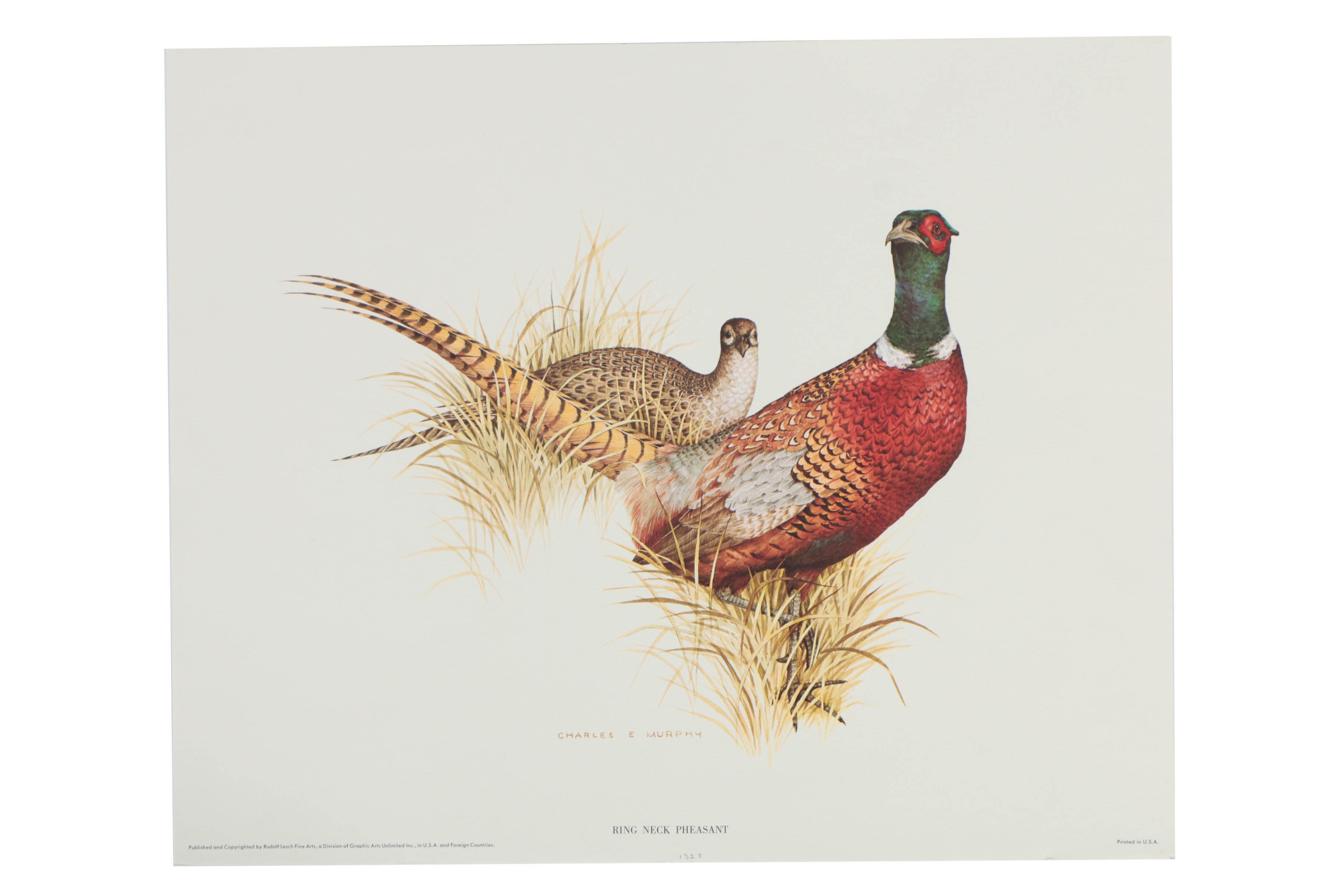 Variety of Offset Lithographs on Paper of Birds