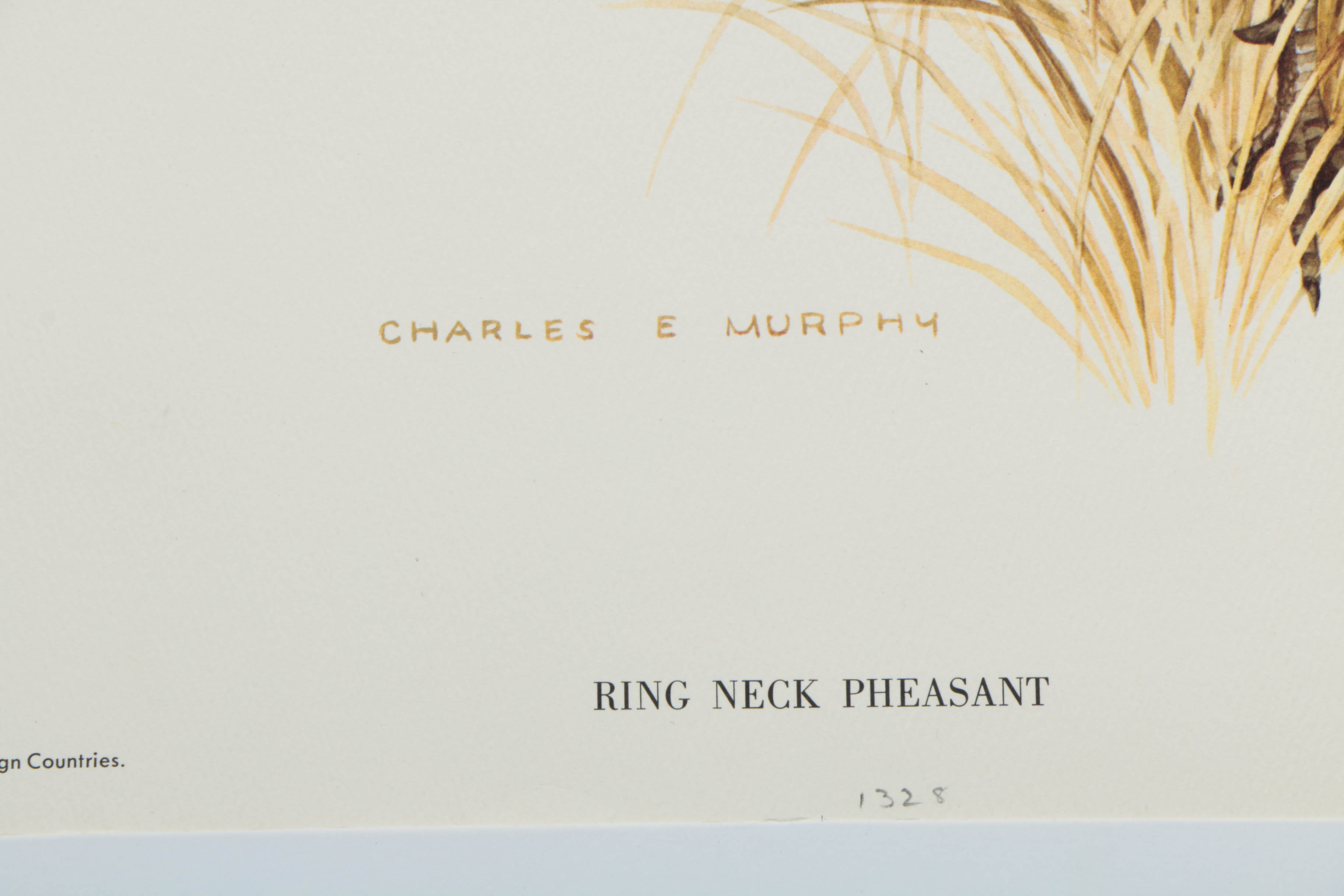 Variety of Offset Lithographs on Paper of Birds