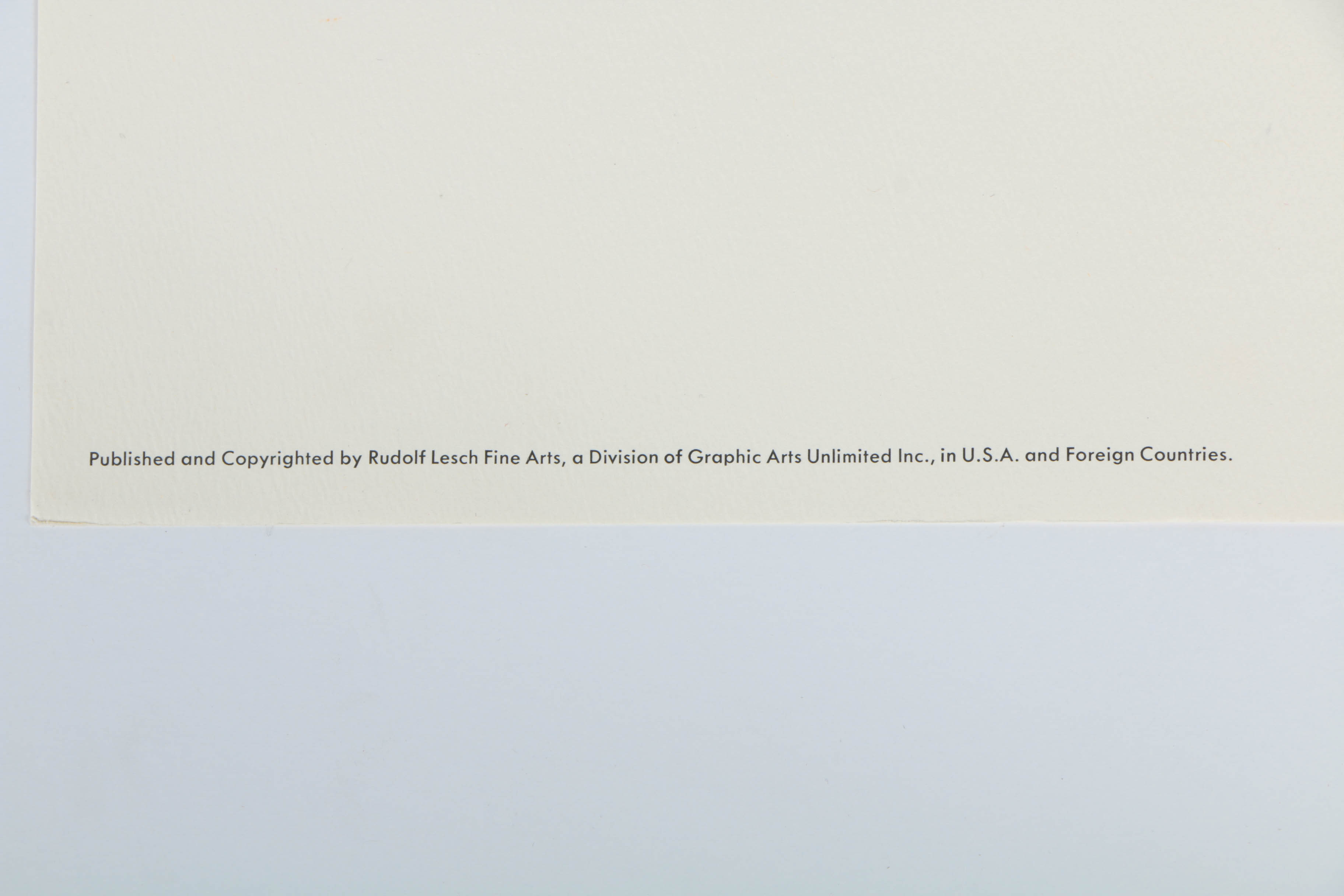 Variety of Offset Lithographs on Paper of Birds