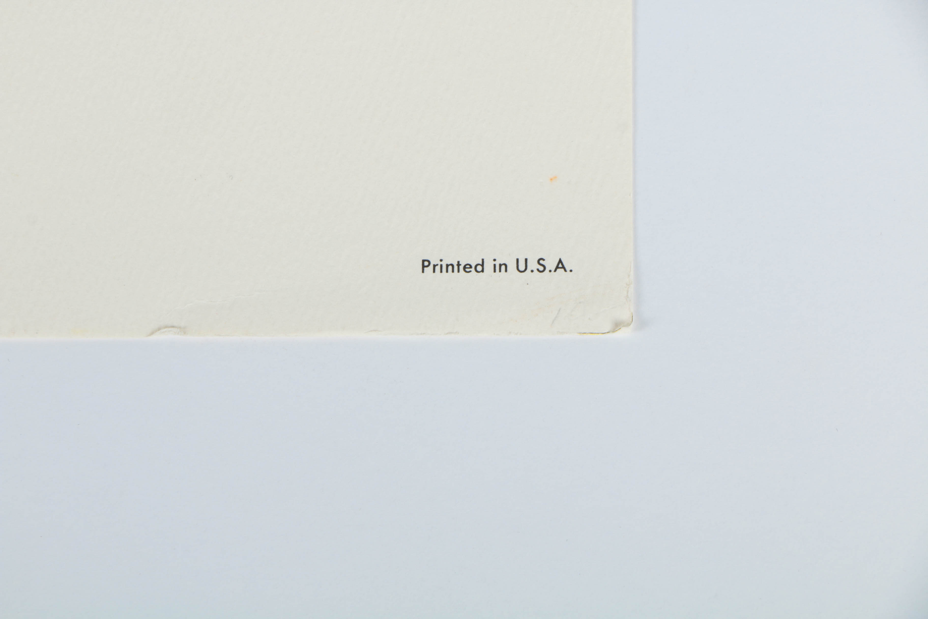 Variety of Offset Lithographs on Paper of Birds