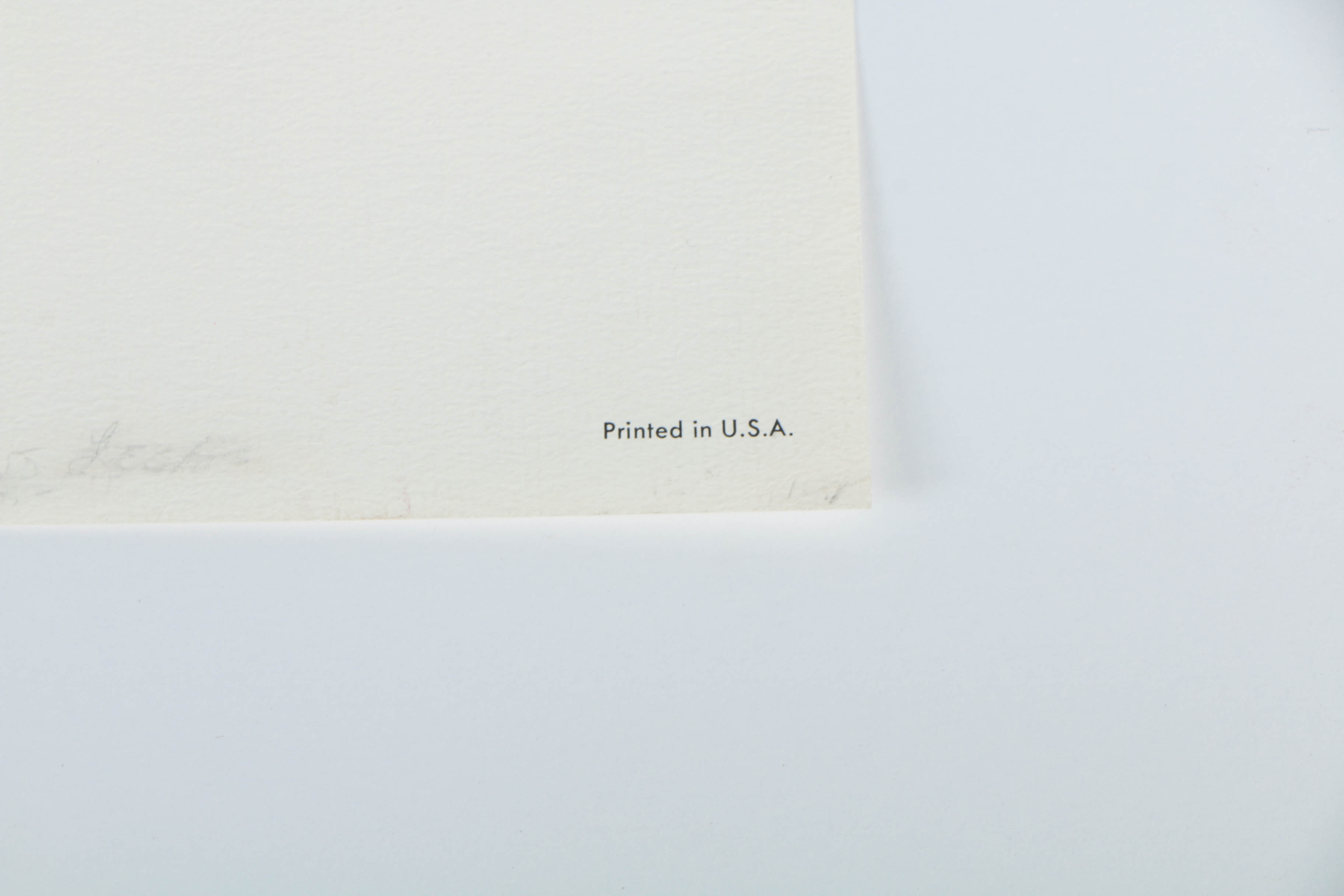 Variety of Offset Lithographs on Paper of Birds