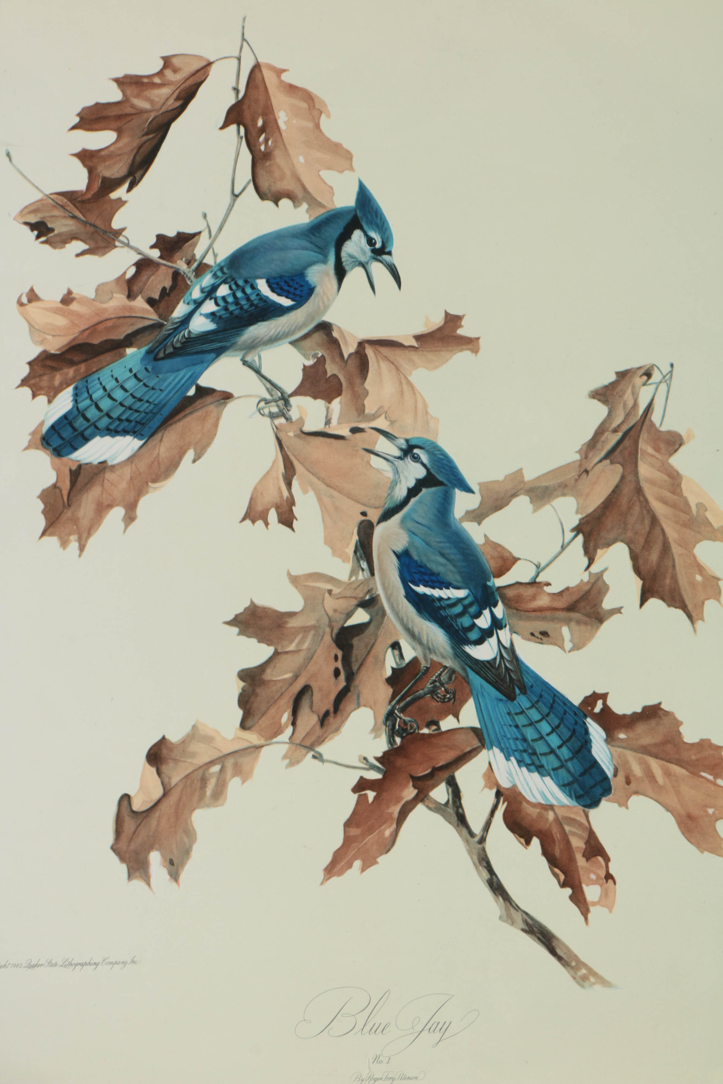 Variety of Offset Lithographs on Paper of Birds