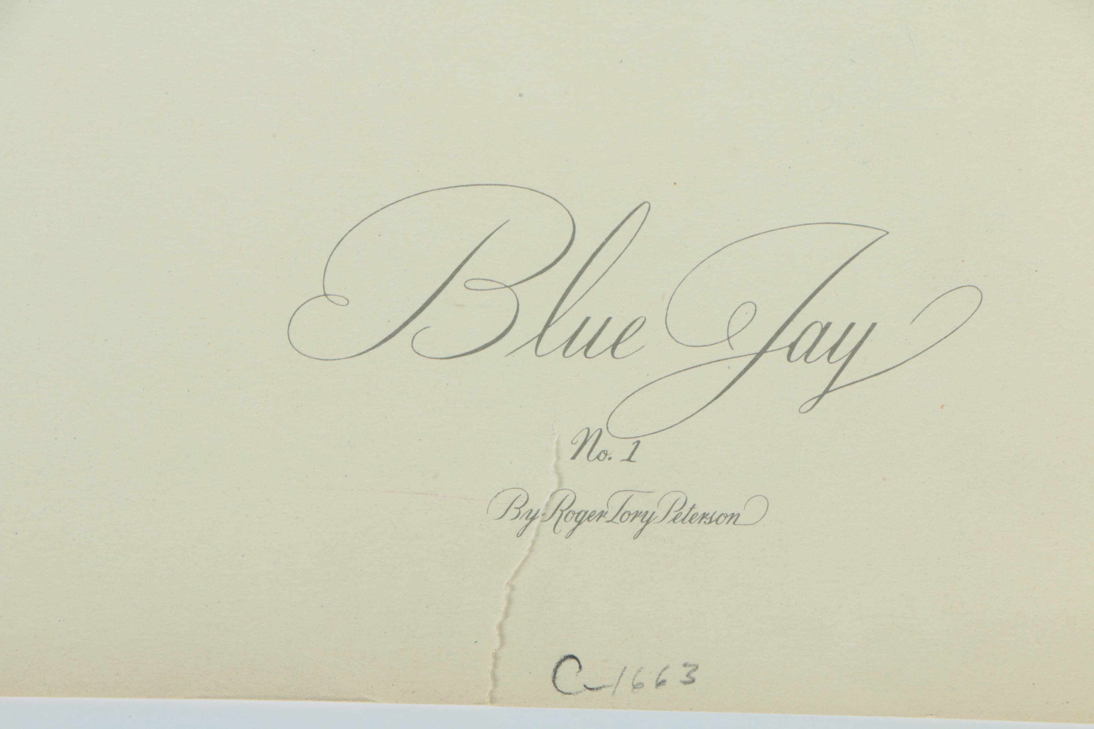 Variety of Offset Lithographs on Paper of Birds