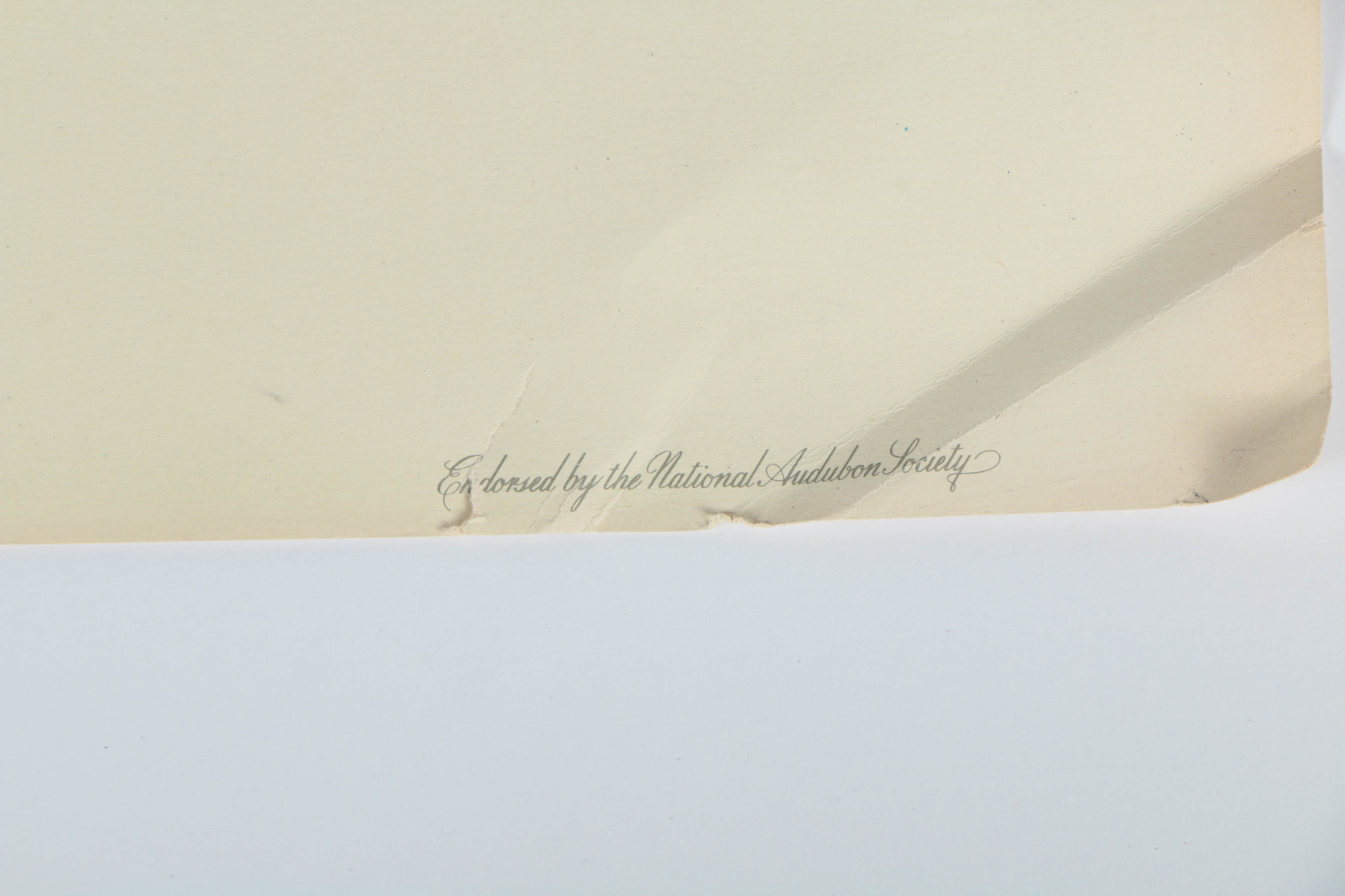 Variety of Offset Lithographs on Paper of Birds