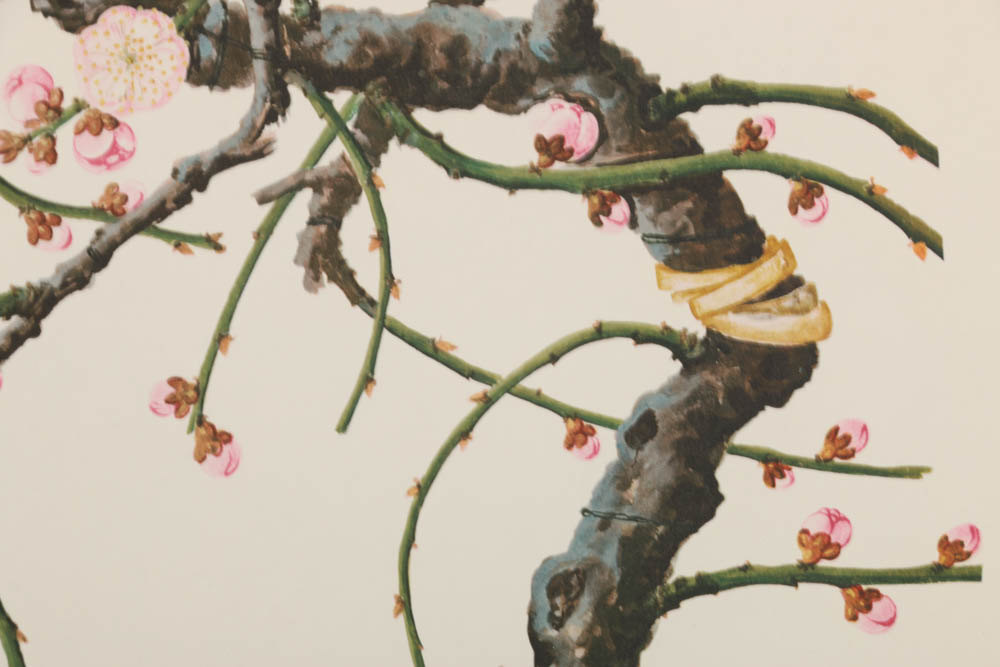 Collection of Botanical Prints on Paper