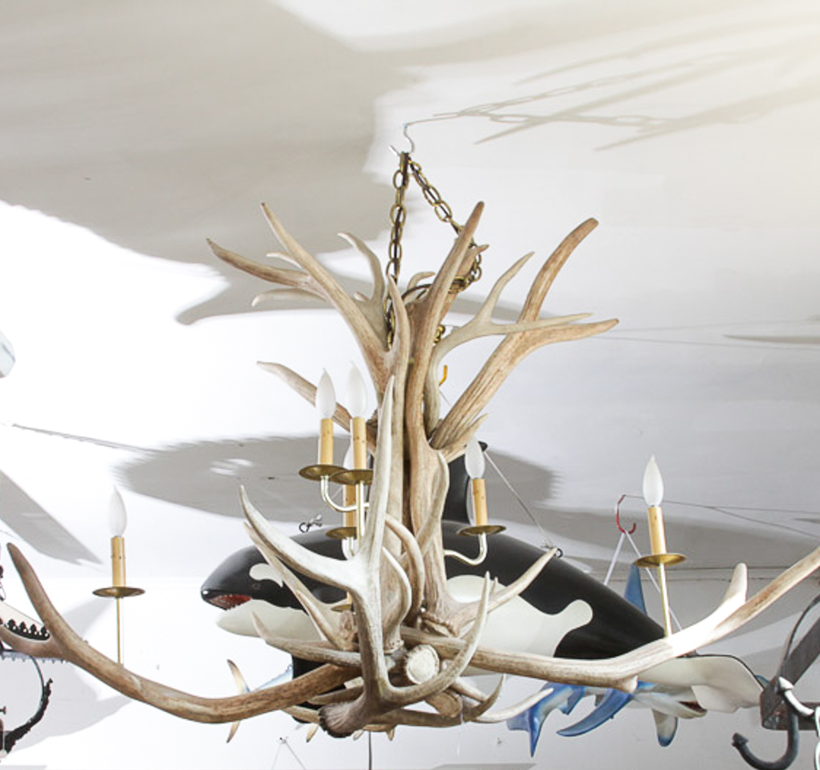 Antler Themed Chandelier