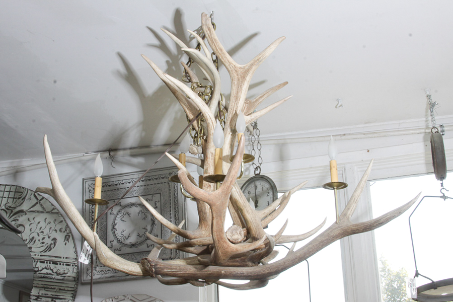 Antler Themed Chandelier