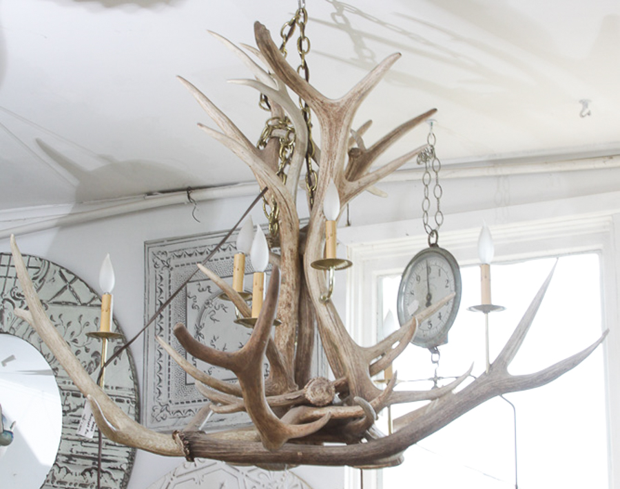 Antler Themed Chandelier