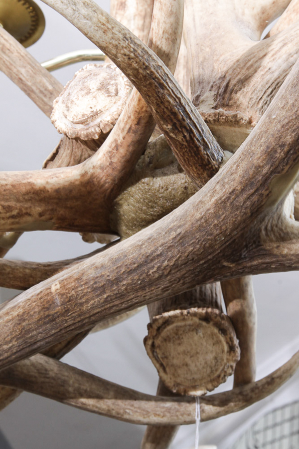 Antler Themed Chandelier