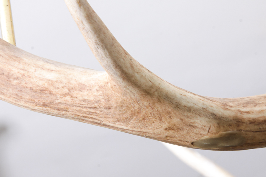 Antler Themed Chandelier