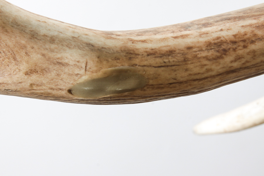 Antler Themed Chandelier