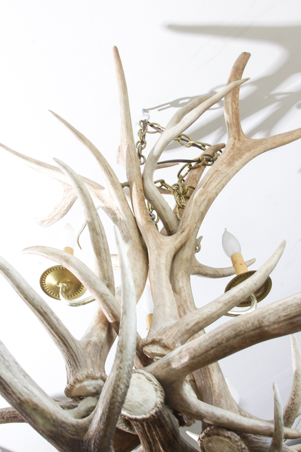 Antler Themed Chandelier