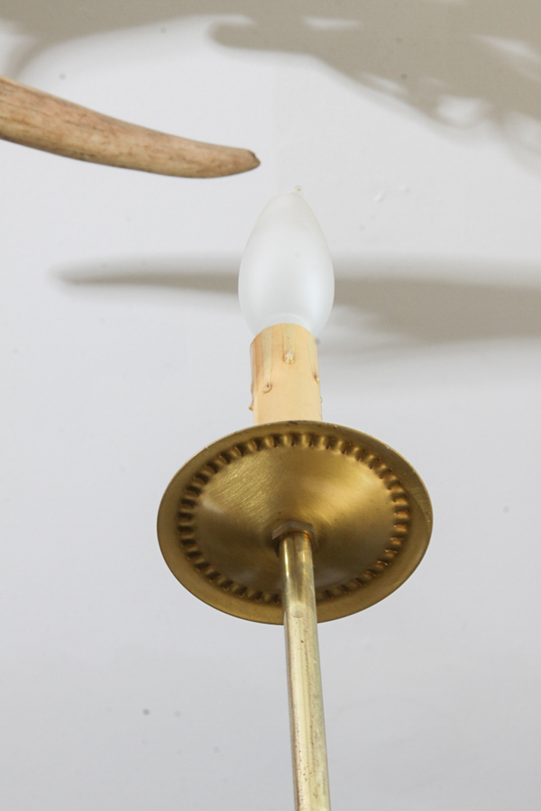 Antler Themed Chandelier