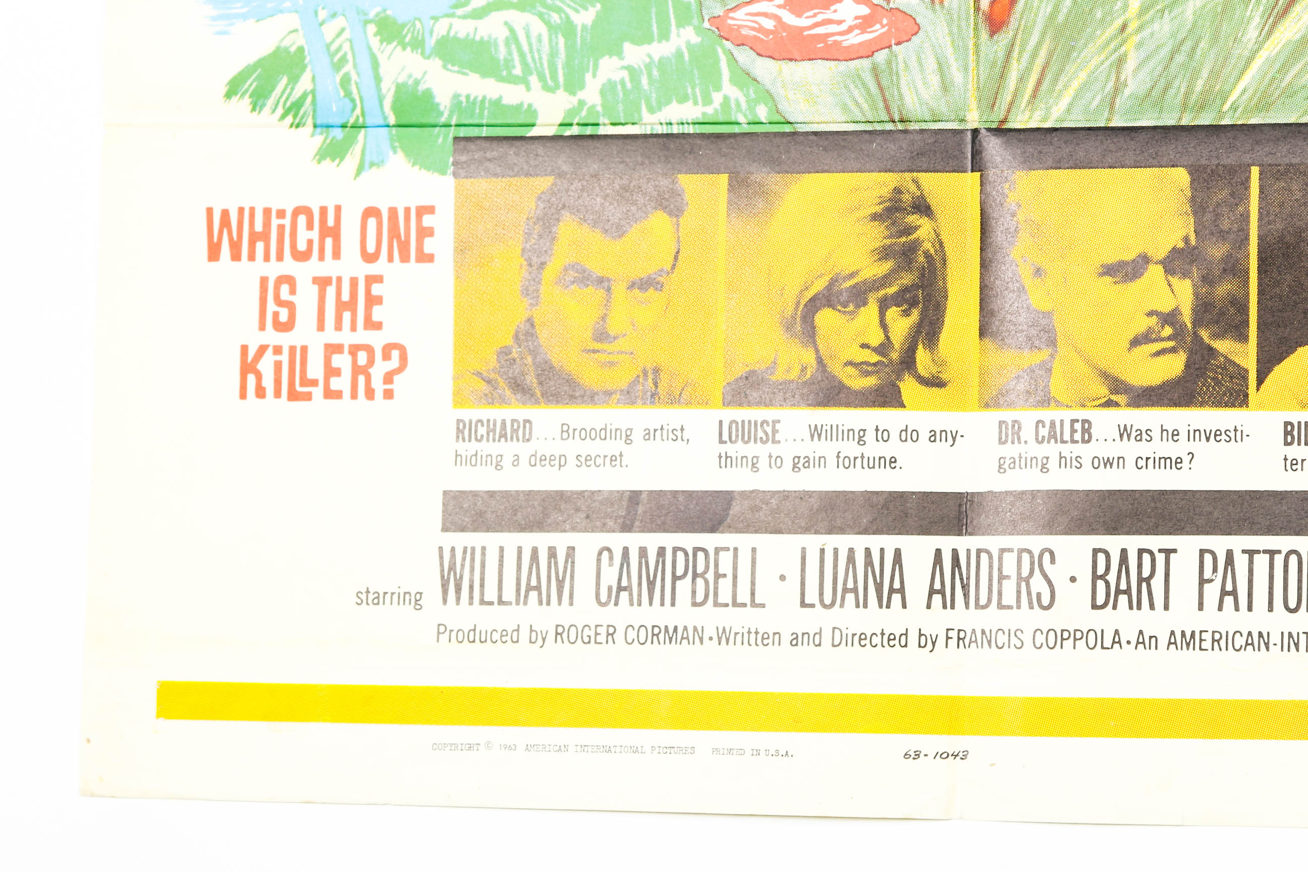 Vintage 1963 "Dementia 13" Movie Poster