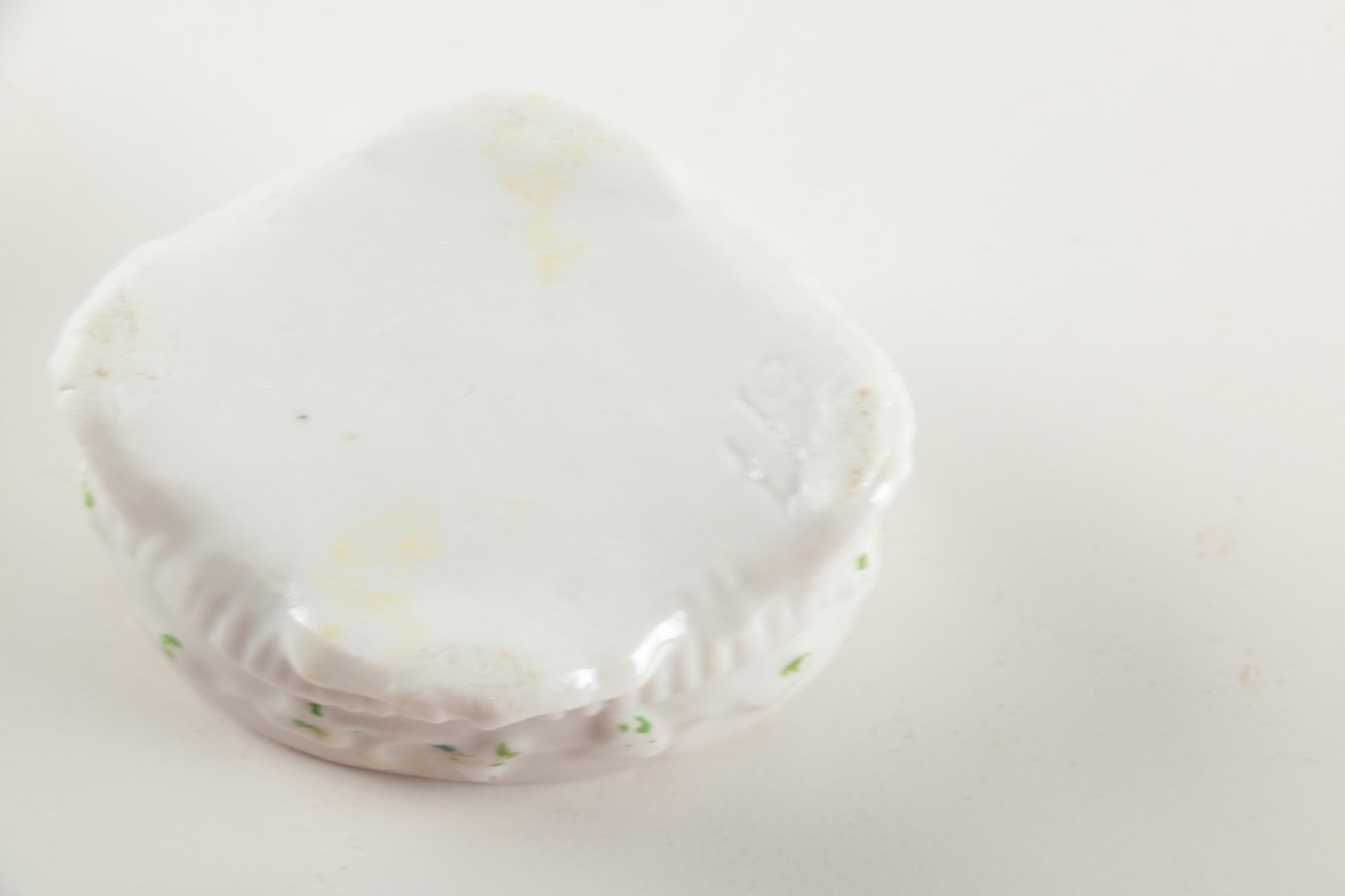 Shell Trinket Box and Tissue Box Cover