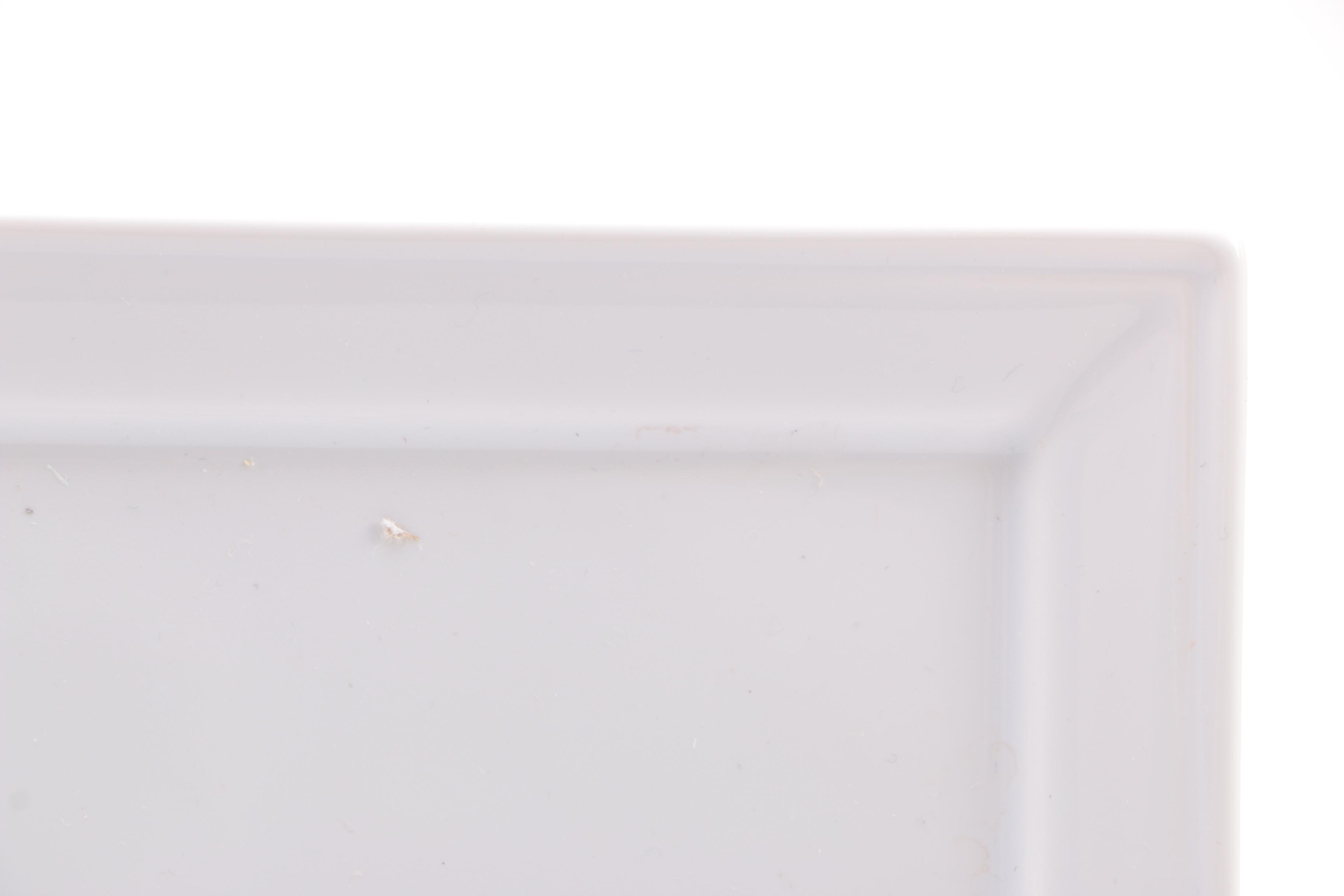 Revol France Ceramic Plates