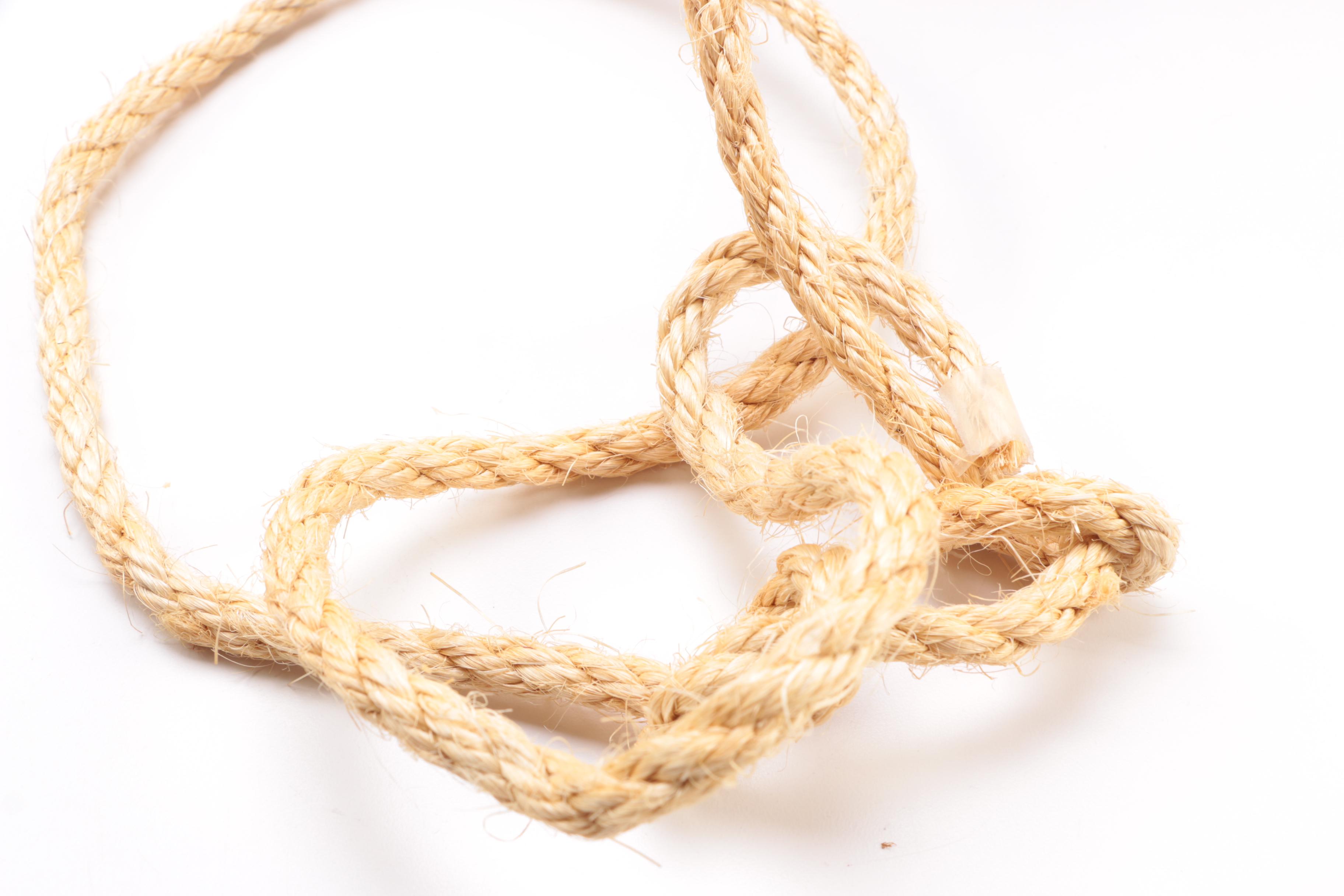 Juliska Glass Hanging Hot Air Ballon