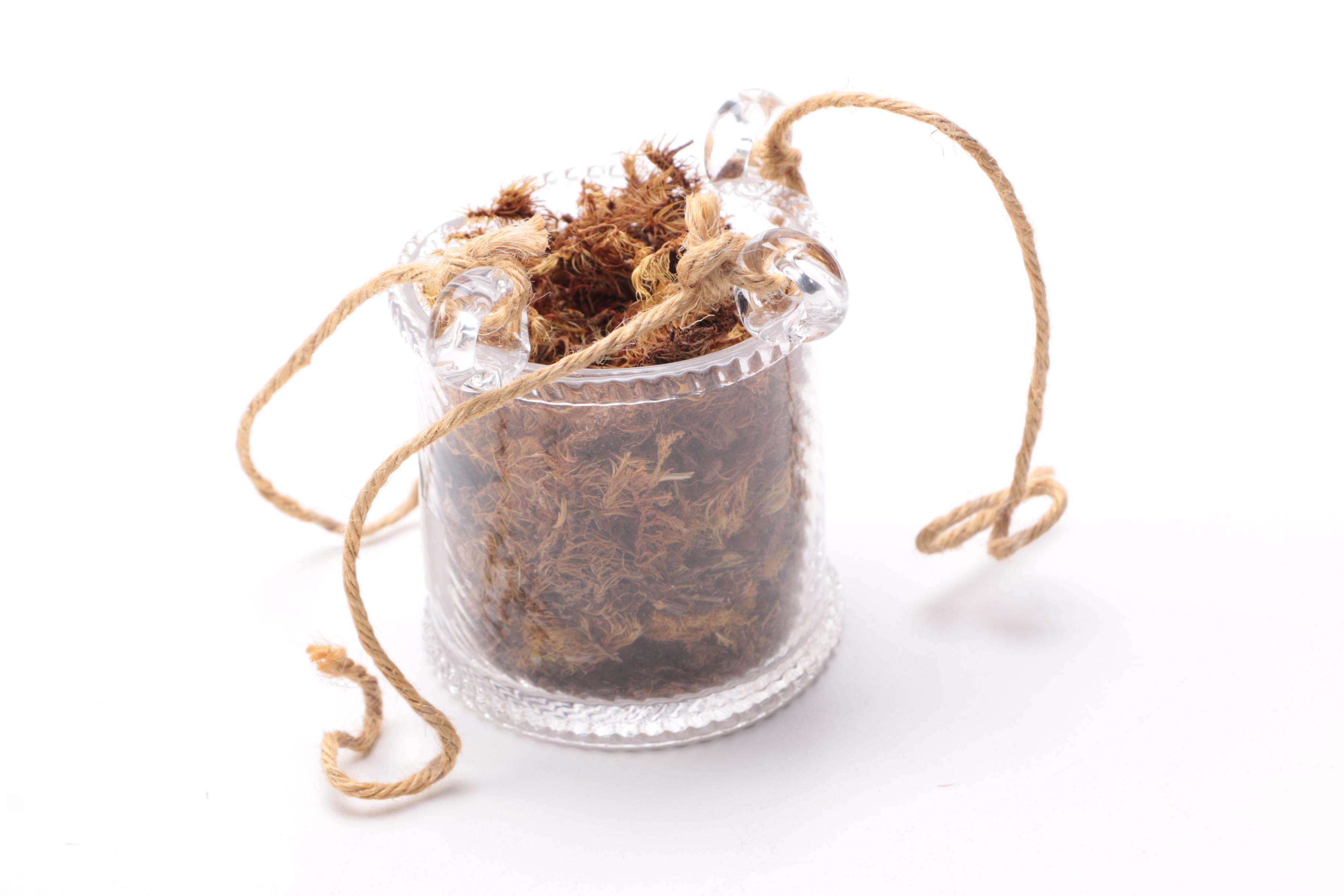 Juliska Glass Hanging Hot Air Ballon