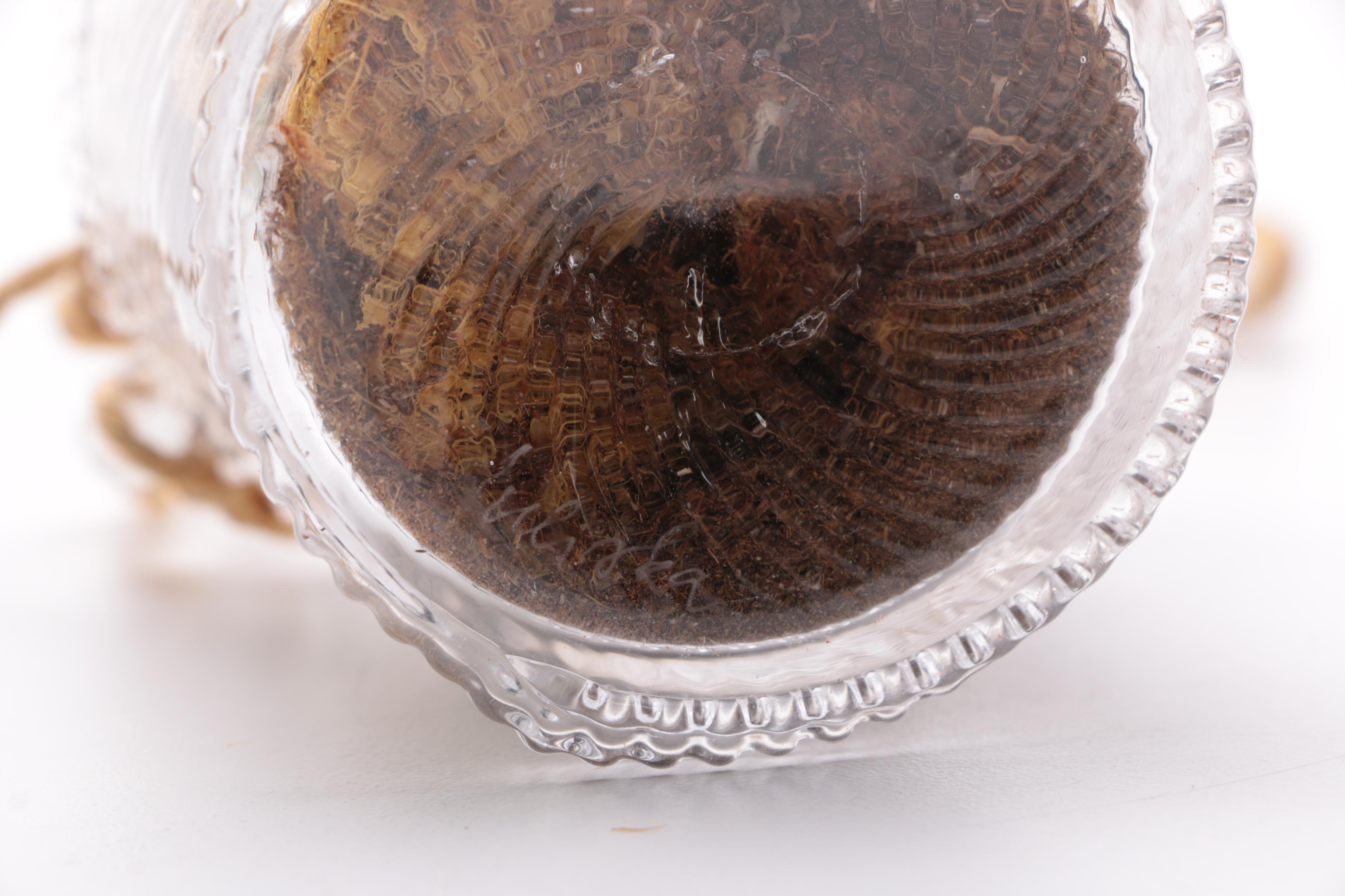 Juliska Glass Hanging Hot Air Ballon