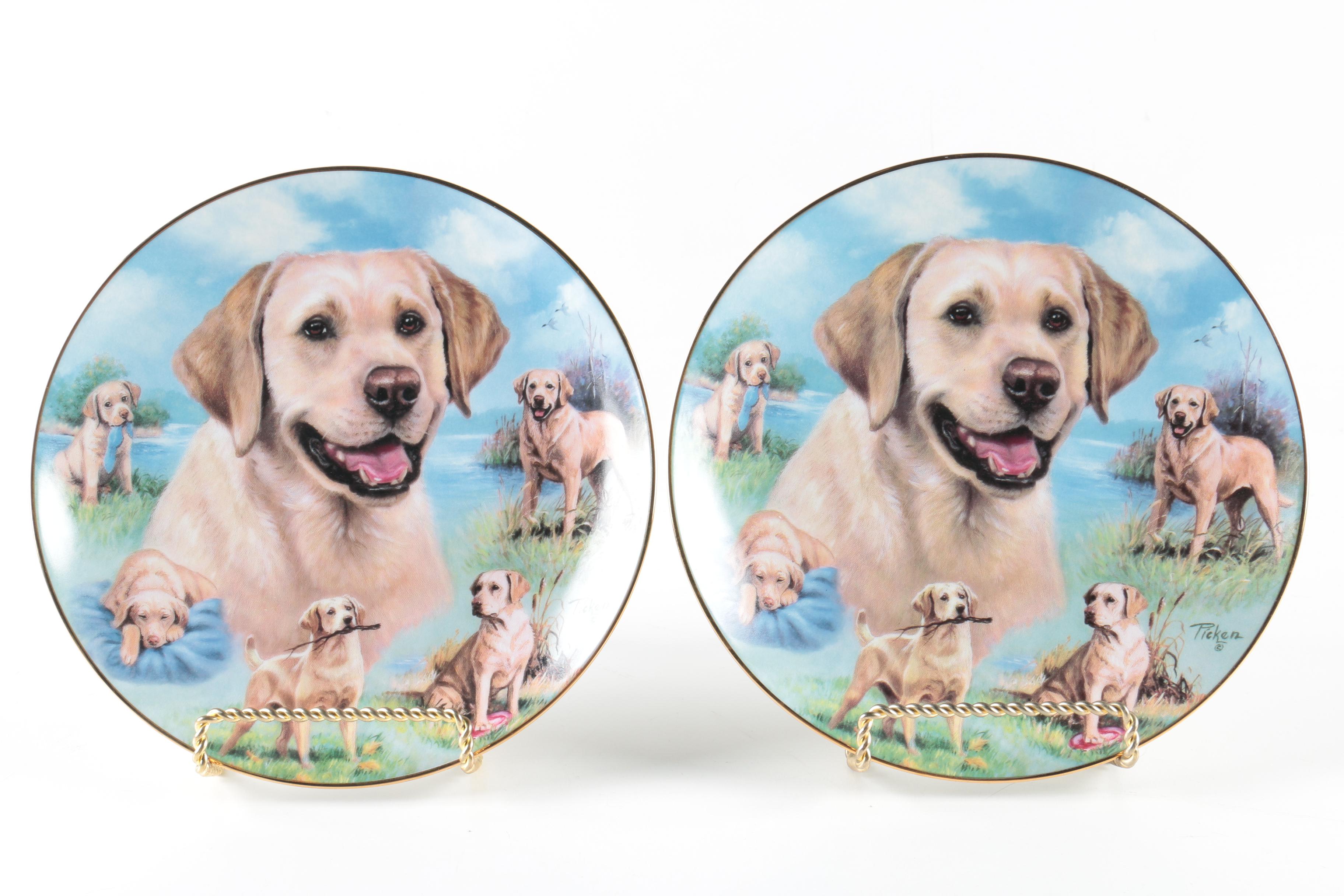Limited Edition Bradford Exchange For The Love of Labs Decorative Plates