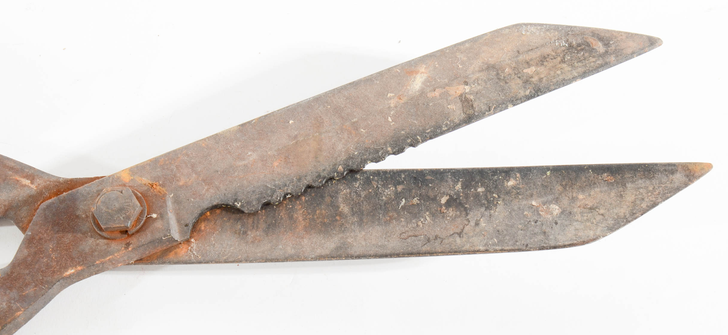 Collection of Vintage and Antique Garden Tools