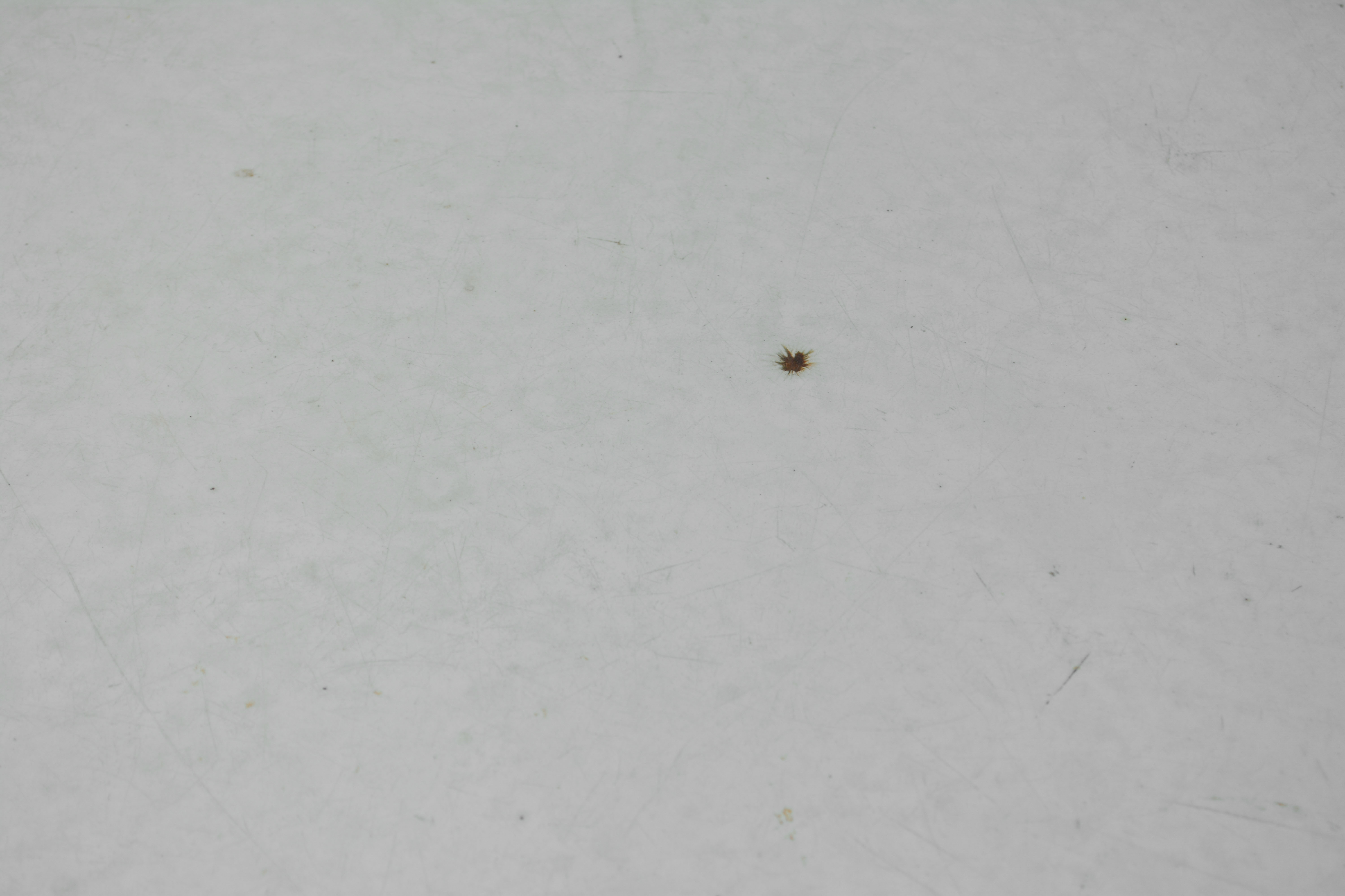 White Metal Top Kitchen Work Table