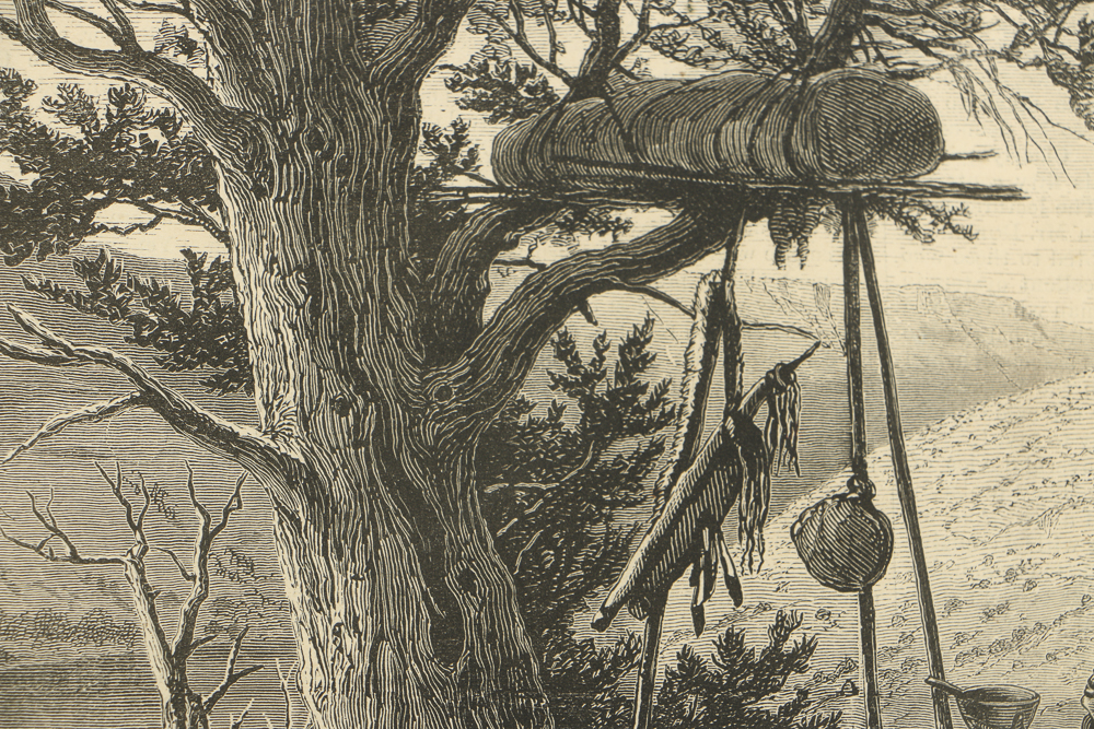 William De La Montagne Cary Wood Engravings on Paper from Harper's Weekly