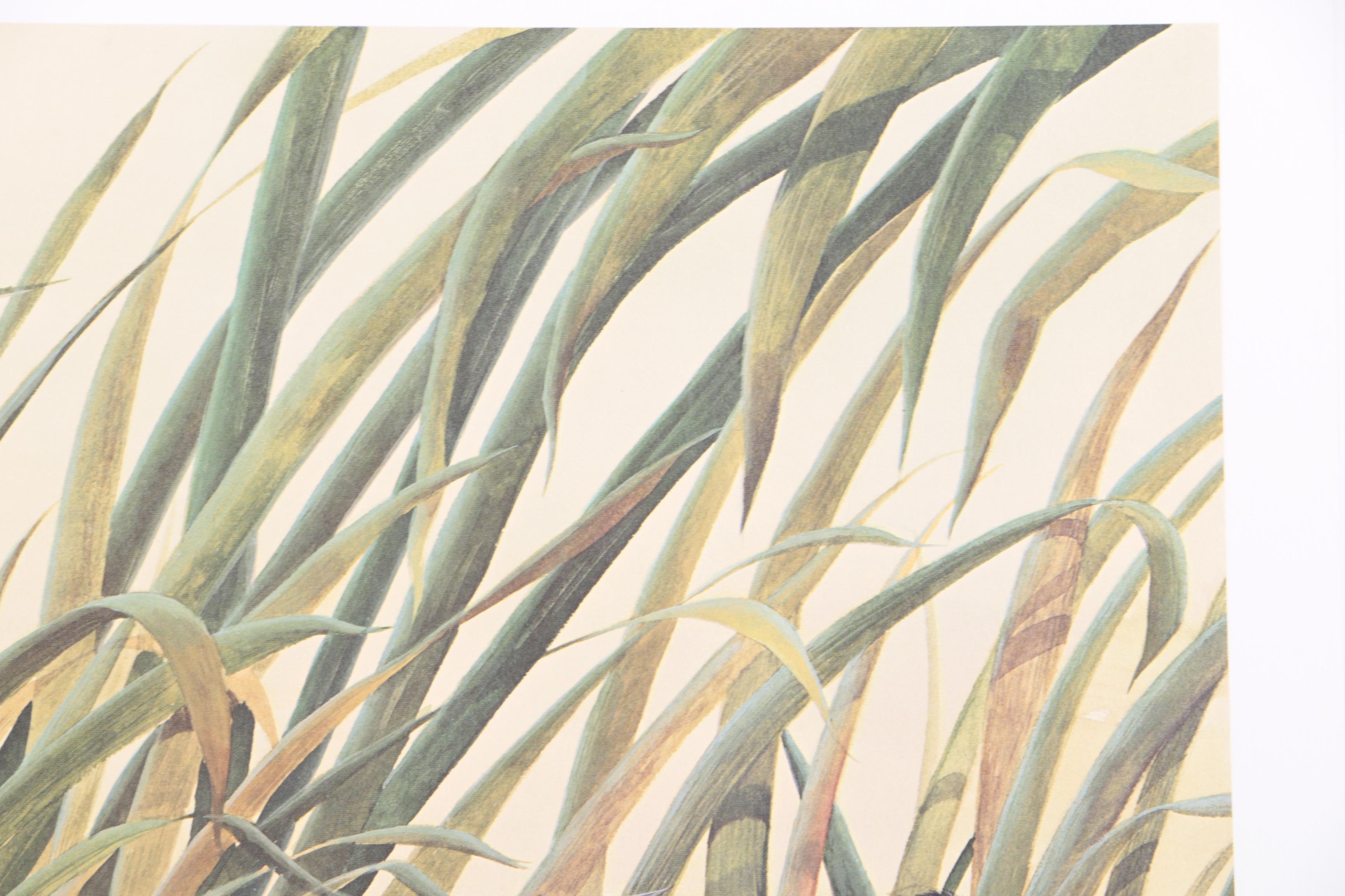 John Ruthven Limited Edition 53/99 Offset Lithographs "Mallards" & "Wood Ducks"