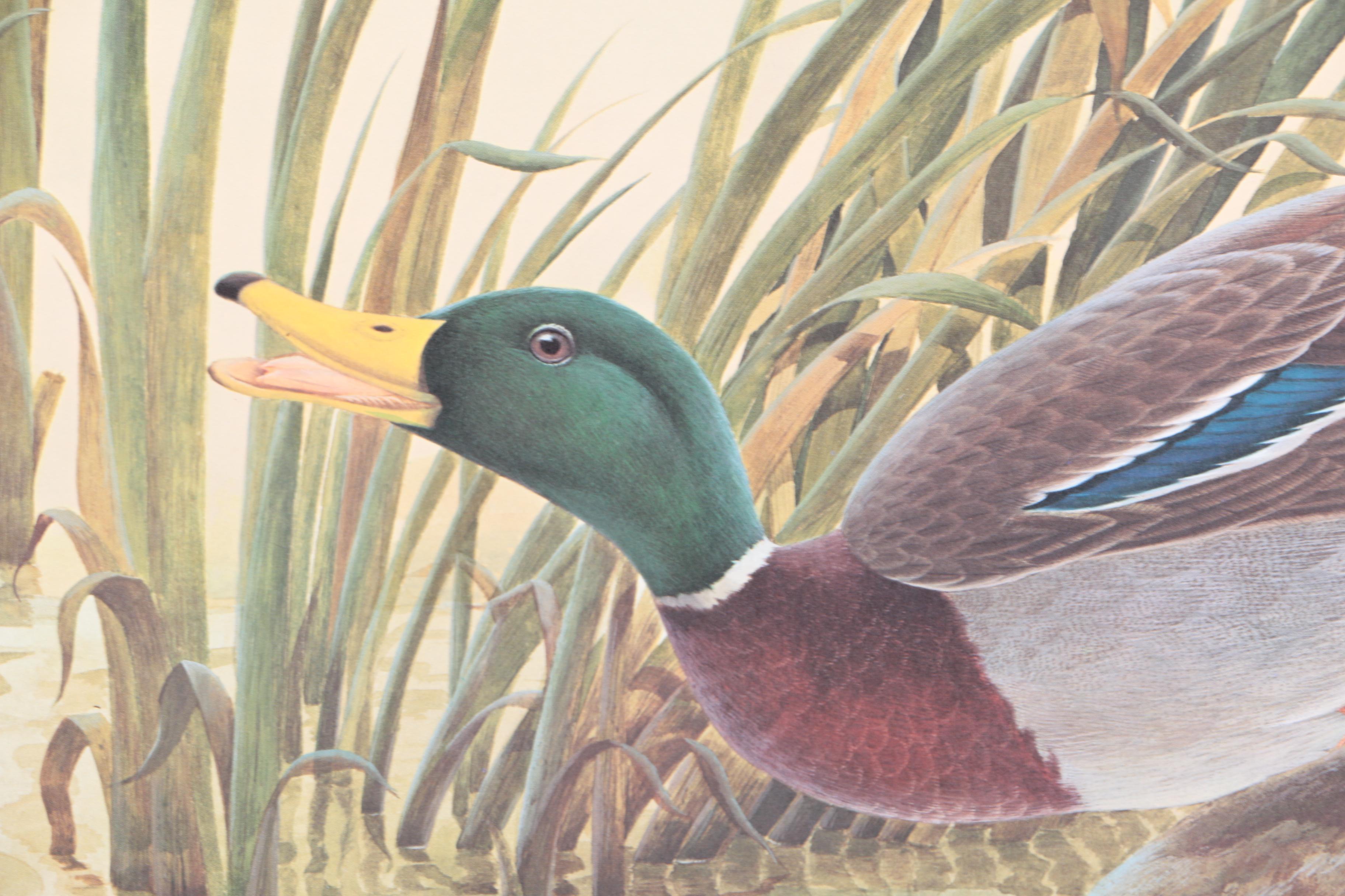 John Ruthven Limited Edition 53/99 Offset Lithographs "Mallards" & "Wood Ducks"