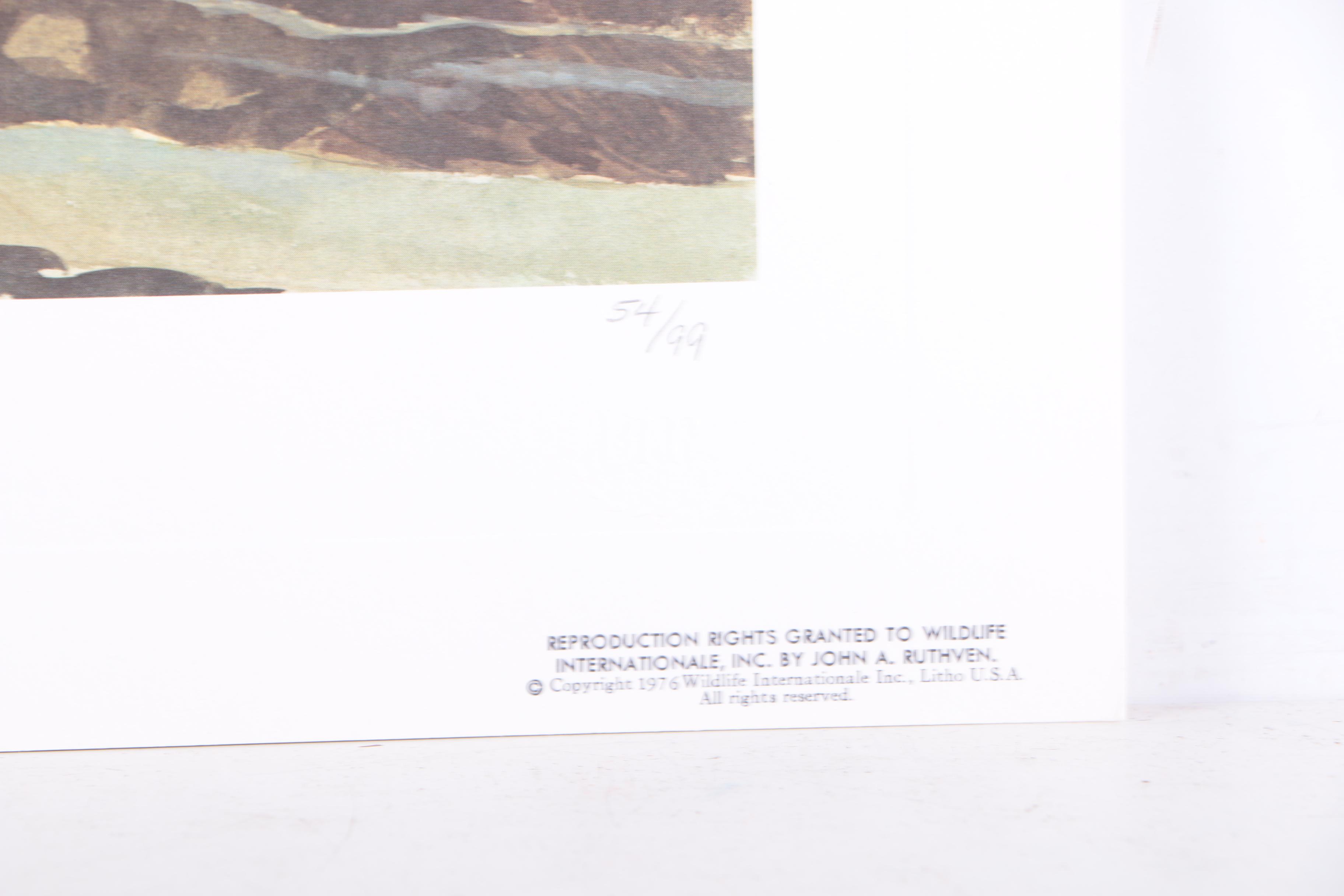 John Ruthven Limited Edition 53/99 Offset Lithographs "Mallards" & "Wood Ducks"