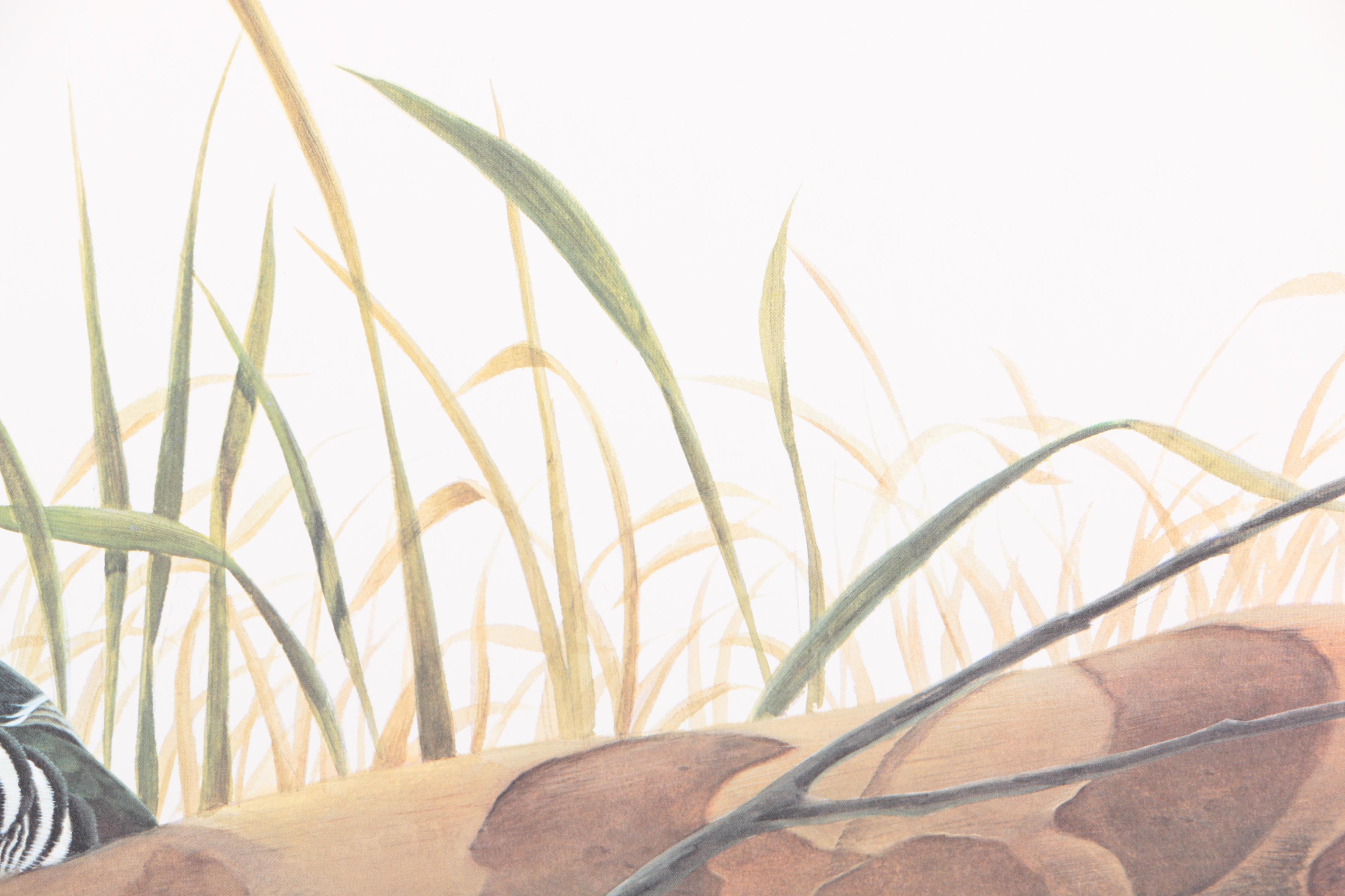 John Ruthven Limited Edition 53/99 Offset Lithographs "Mallards" & "Wood Ducks"