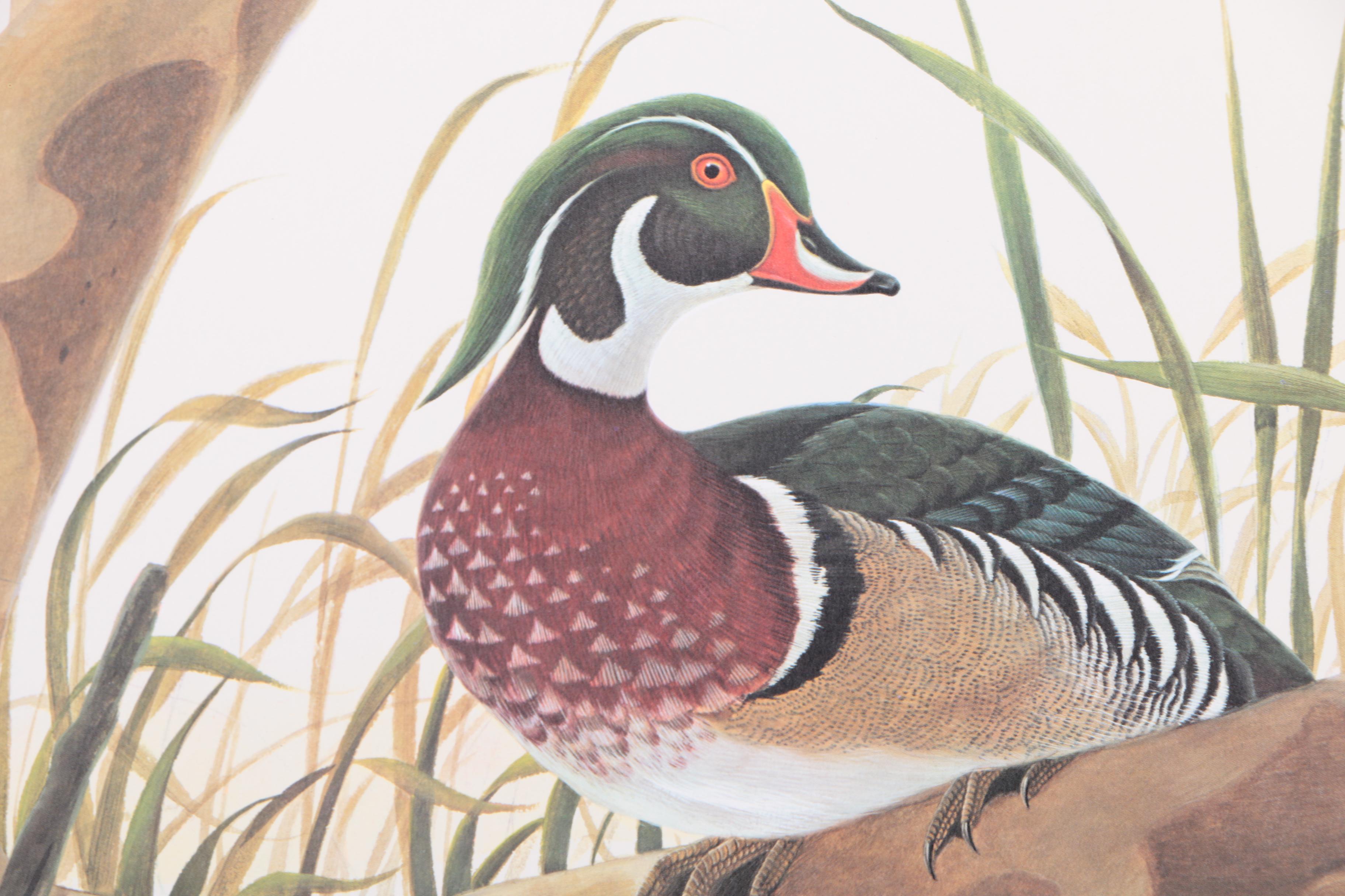 John Ruthven Limited Edition 53/99 Offset Lithographs "Mallards" & "Wood Ducks"