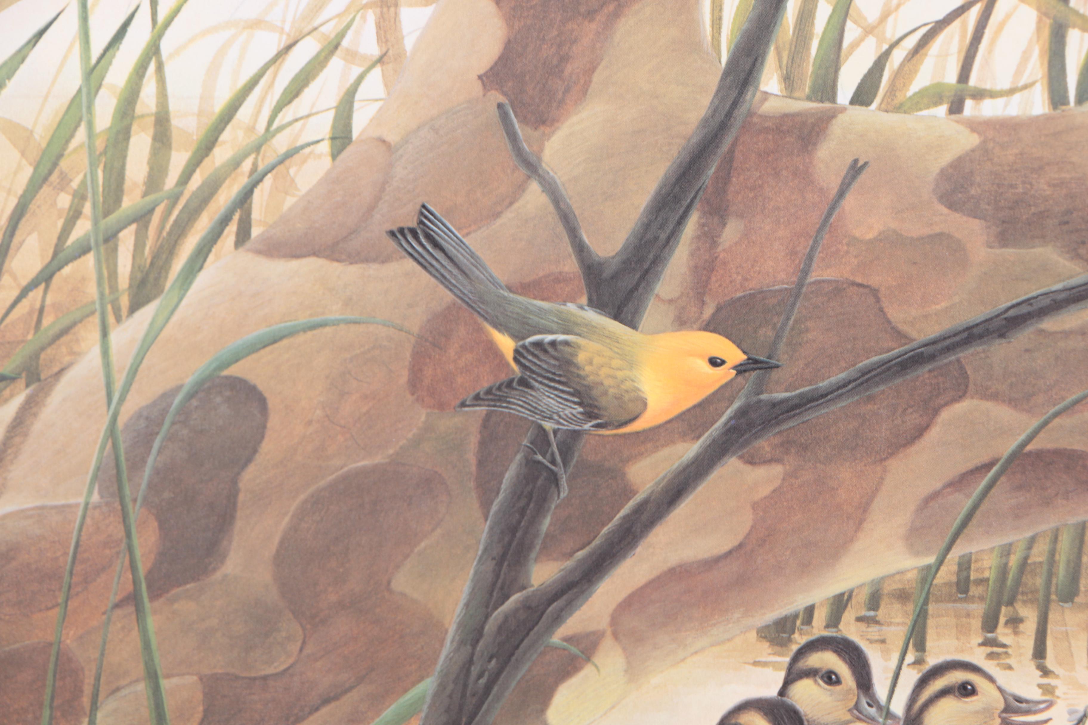 John Ruthven Limited Edition 53/99 Offset Lithographs "Mallards" & "Wood Ducks"