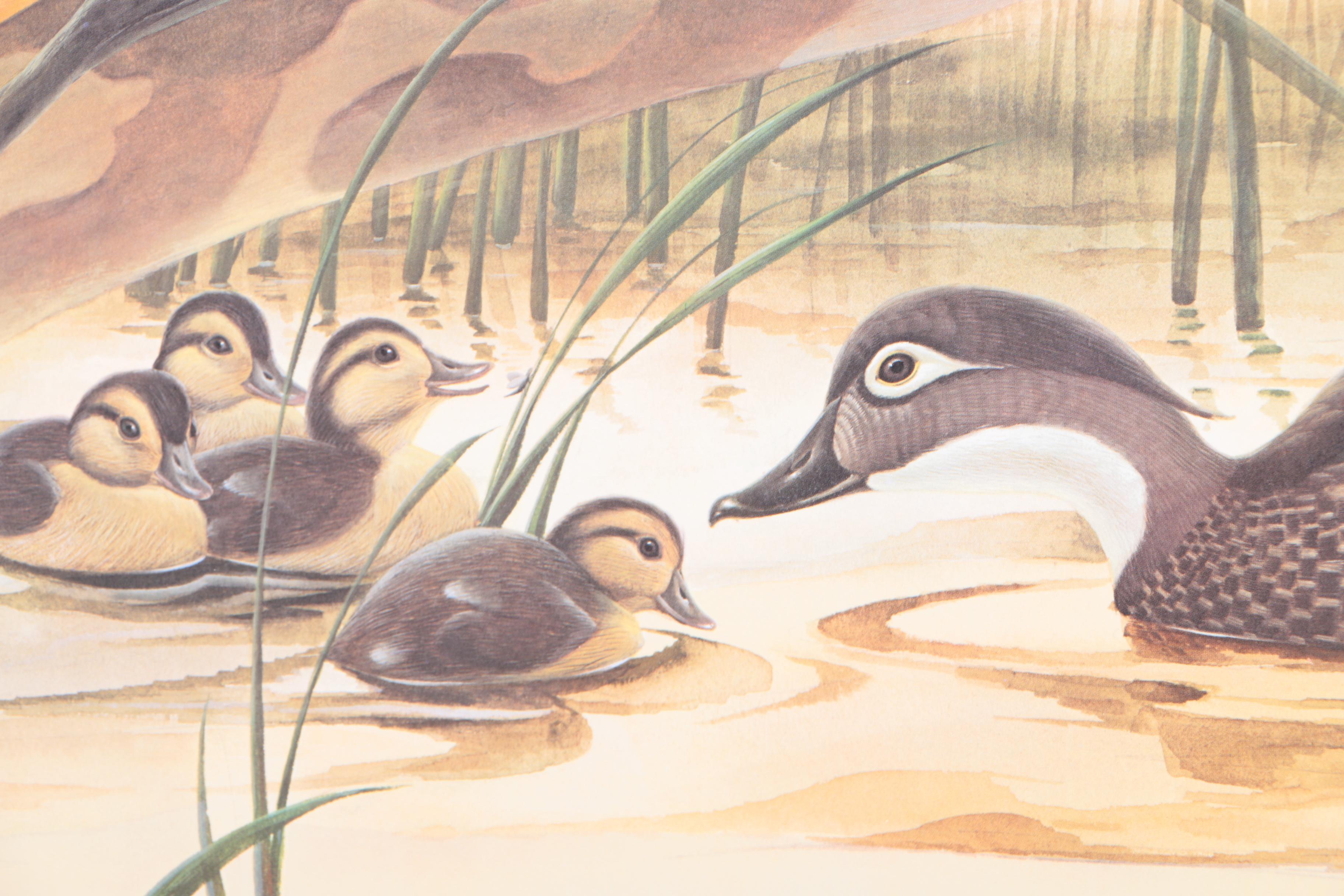 John Ruthven Limited Edition 53/99 Offset Lithographs "Mallards" & "Wood Ducks"