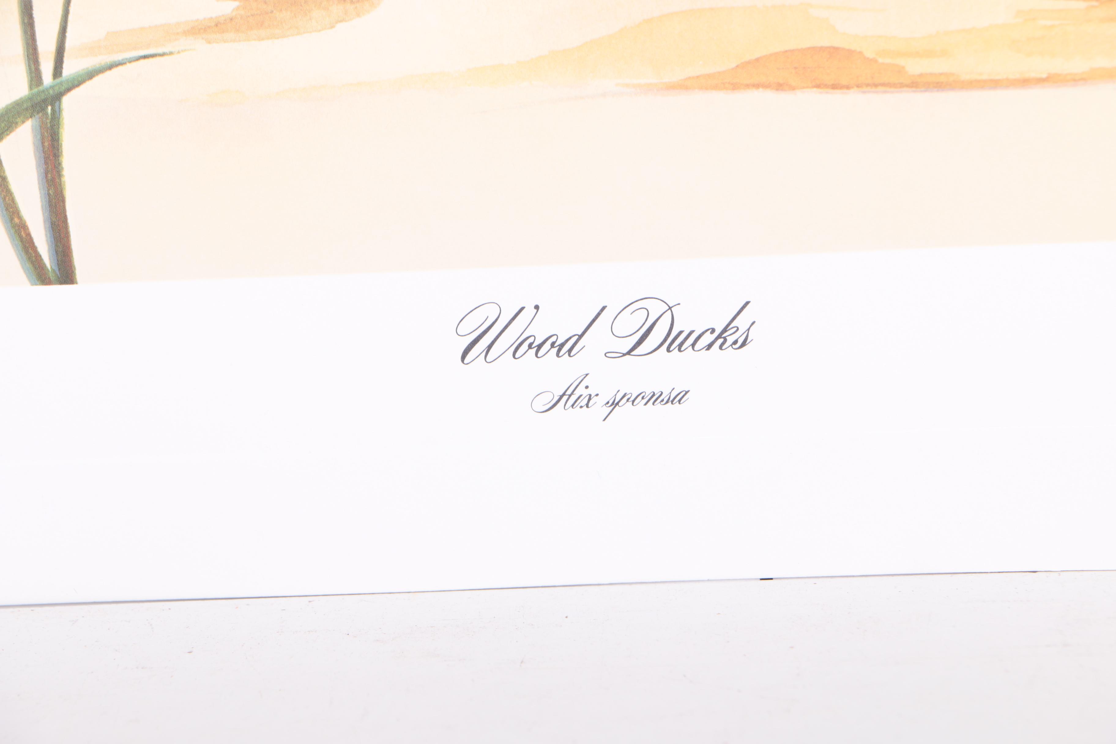 John Ruthven Limited Edition 53/99 Offset Lithographs "Mallards" & "Wood Ducks"