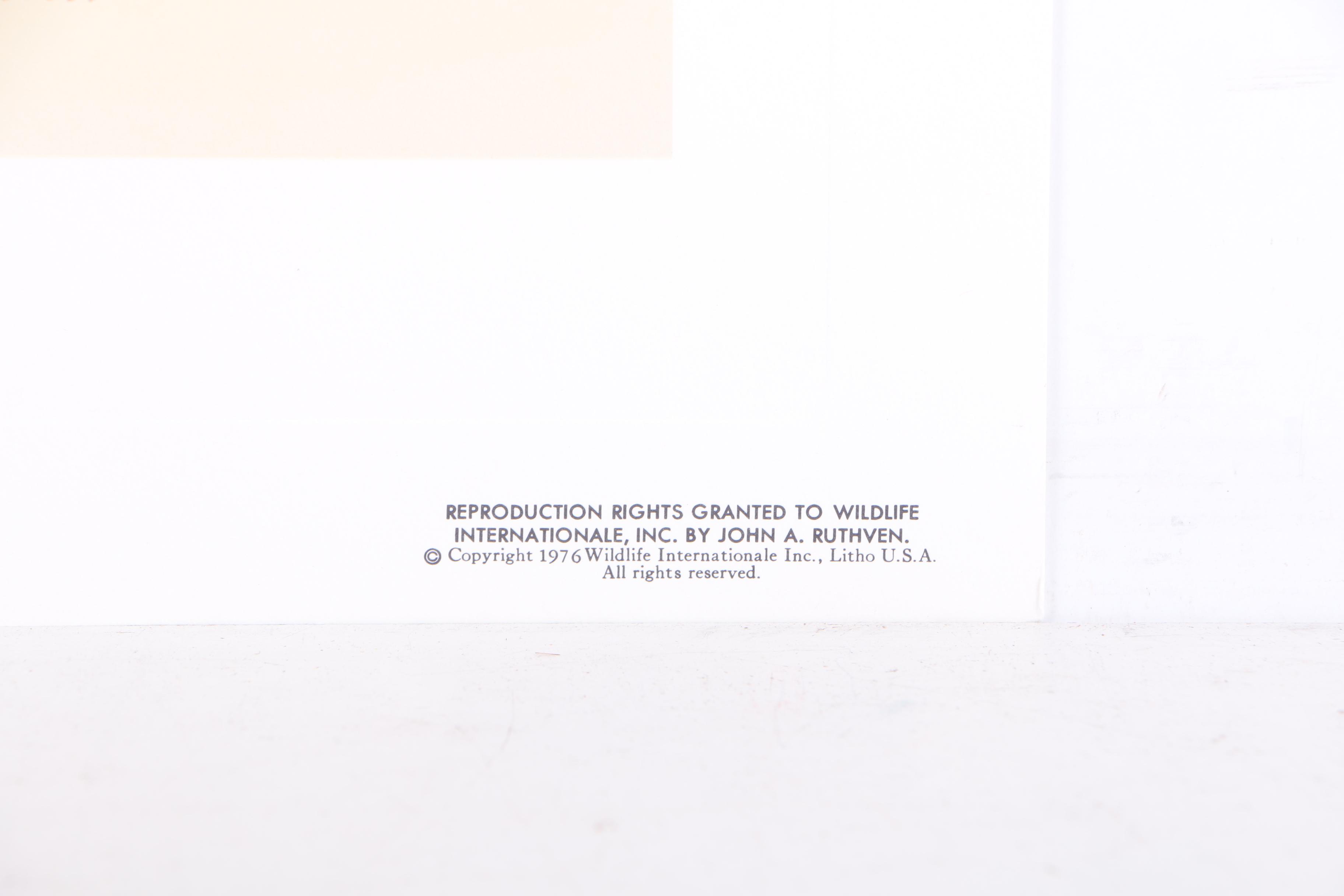 John Ruthven Limited Edition 53/99 Offset Lithographs "Mallards" & "Wood Ducks"