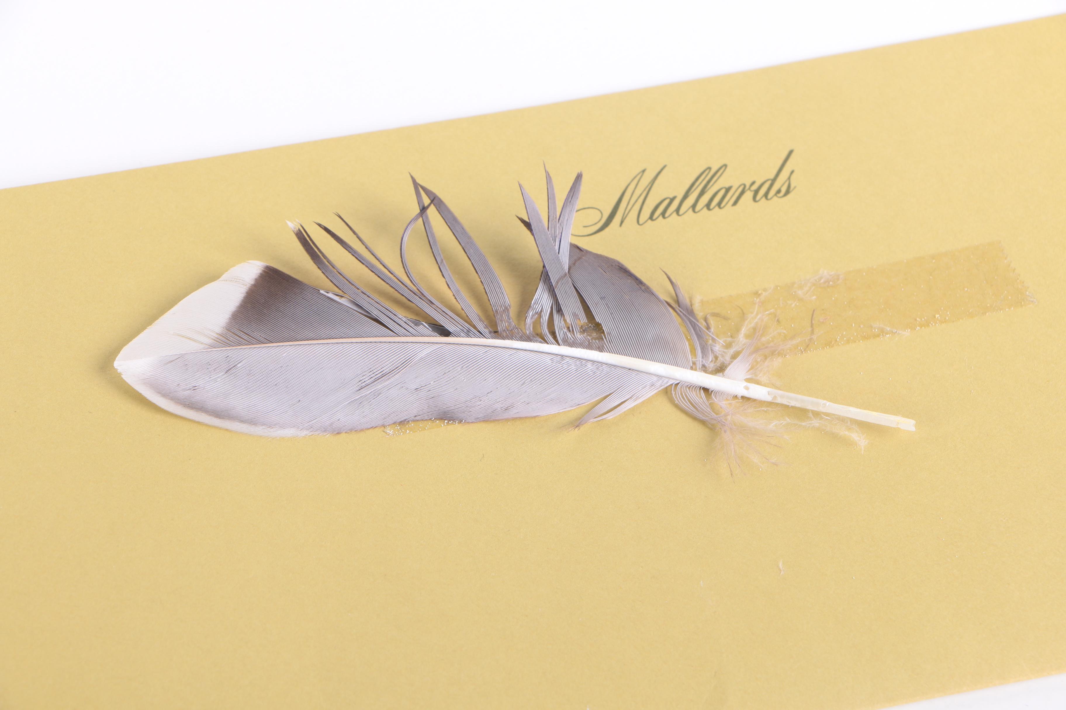 John Ruthven Limited Edition 53/99 Offset Lithographs "Mallards" & "Wood Ducks"