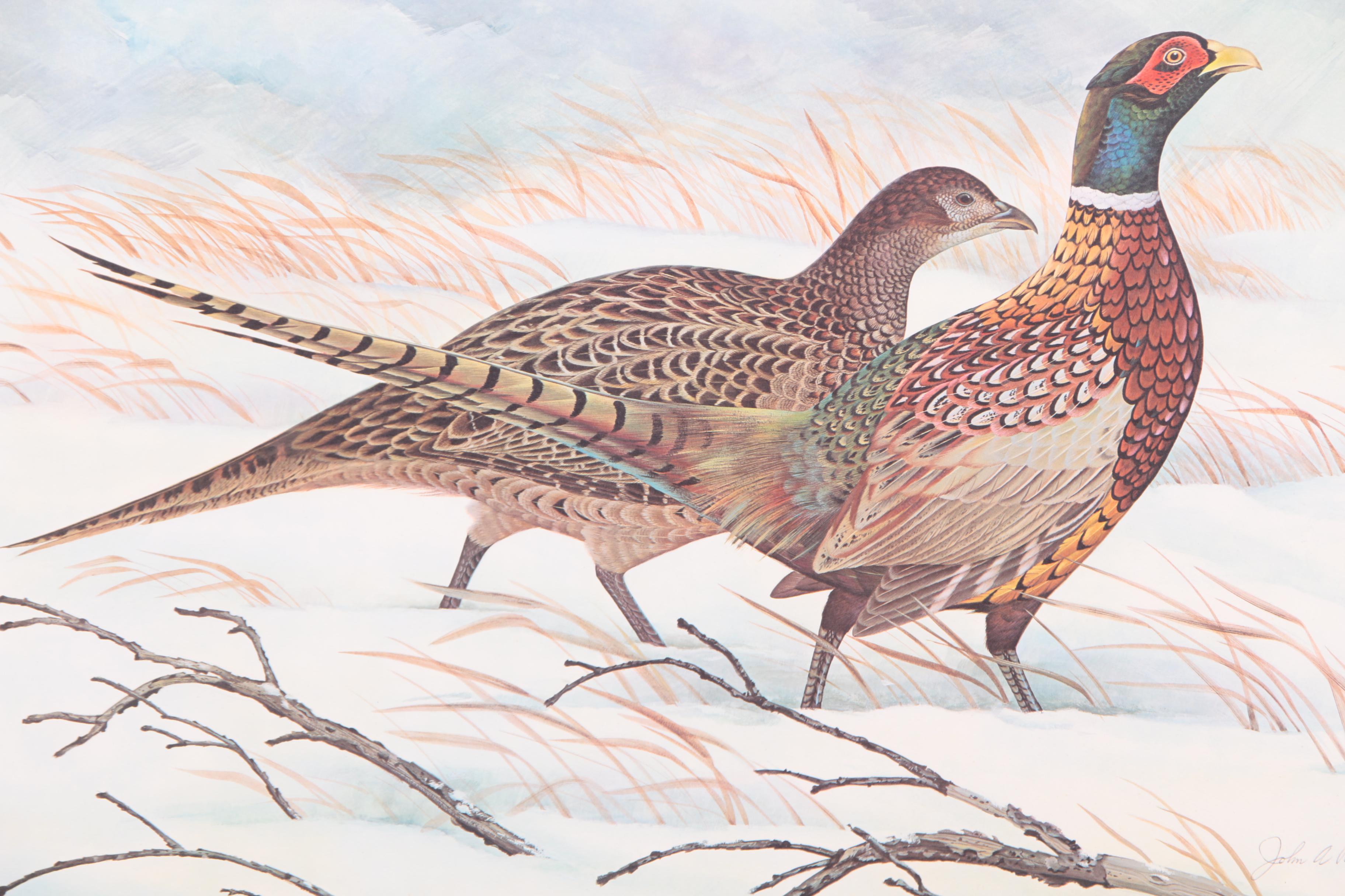 John Ruthven Limited Edition "Ring-necked Pheasant" with Remarque