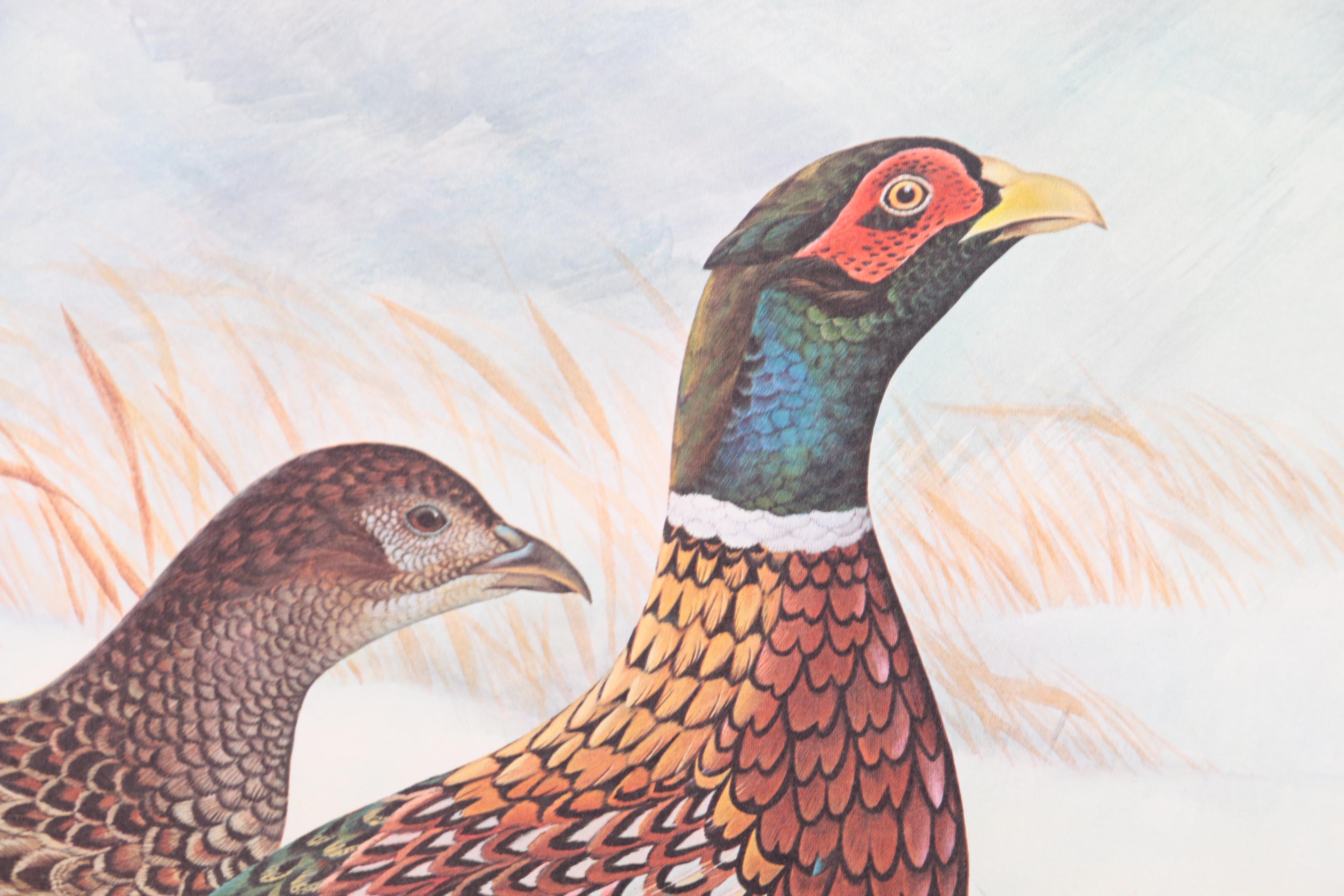 John Ruthven Limited Edition "Ring-necked Pheasant" with Remarque