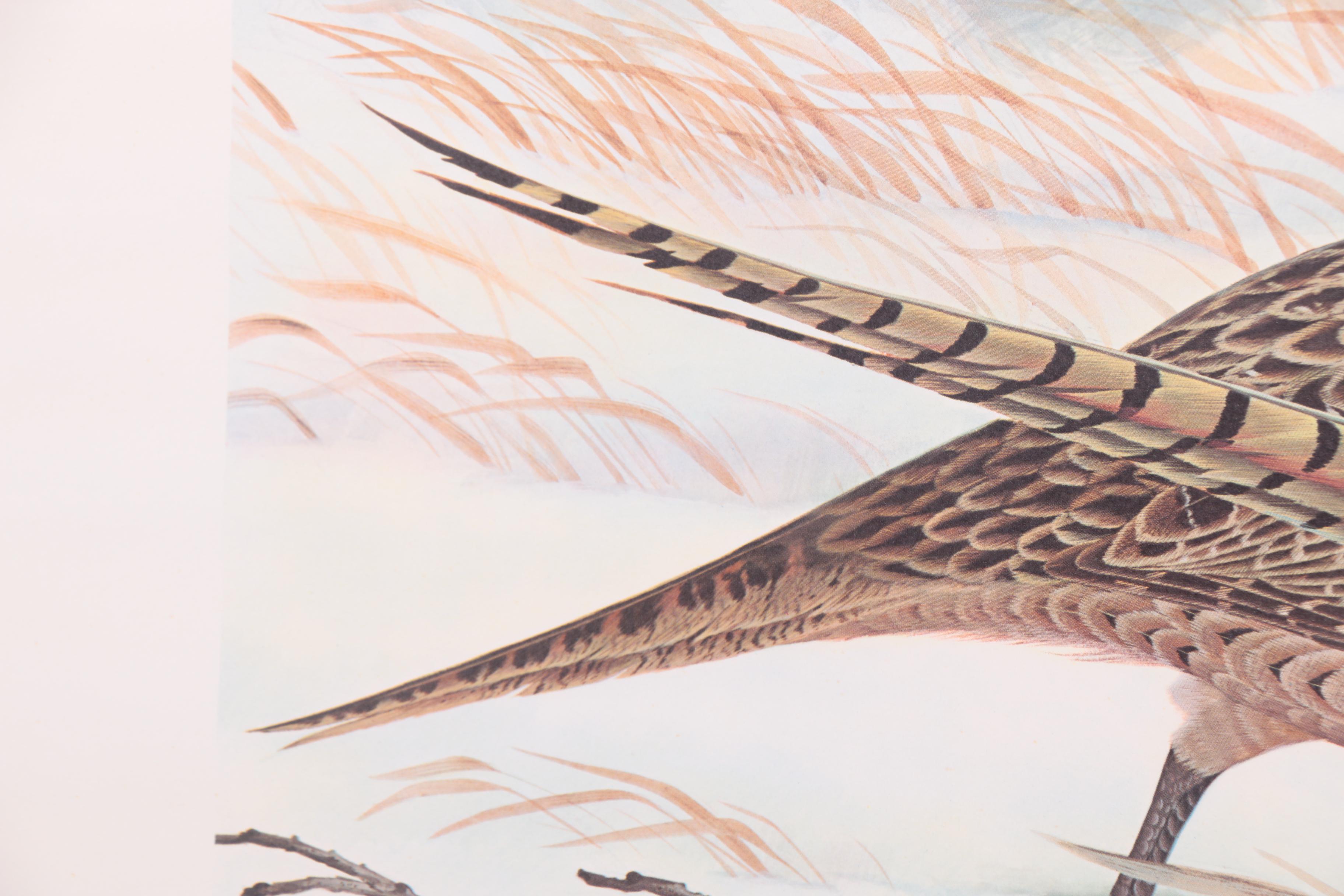 John Ruthven Limited Edition "Ring-necked Pheasant" with Remarque